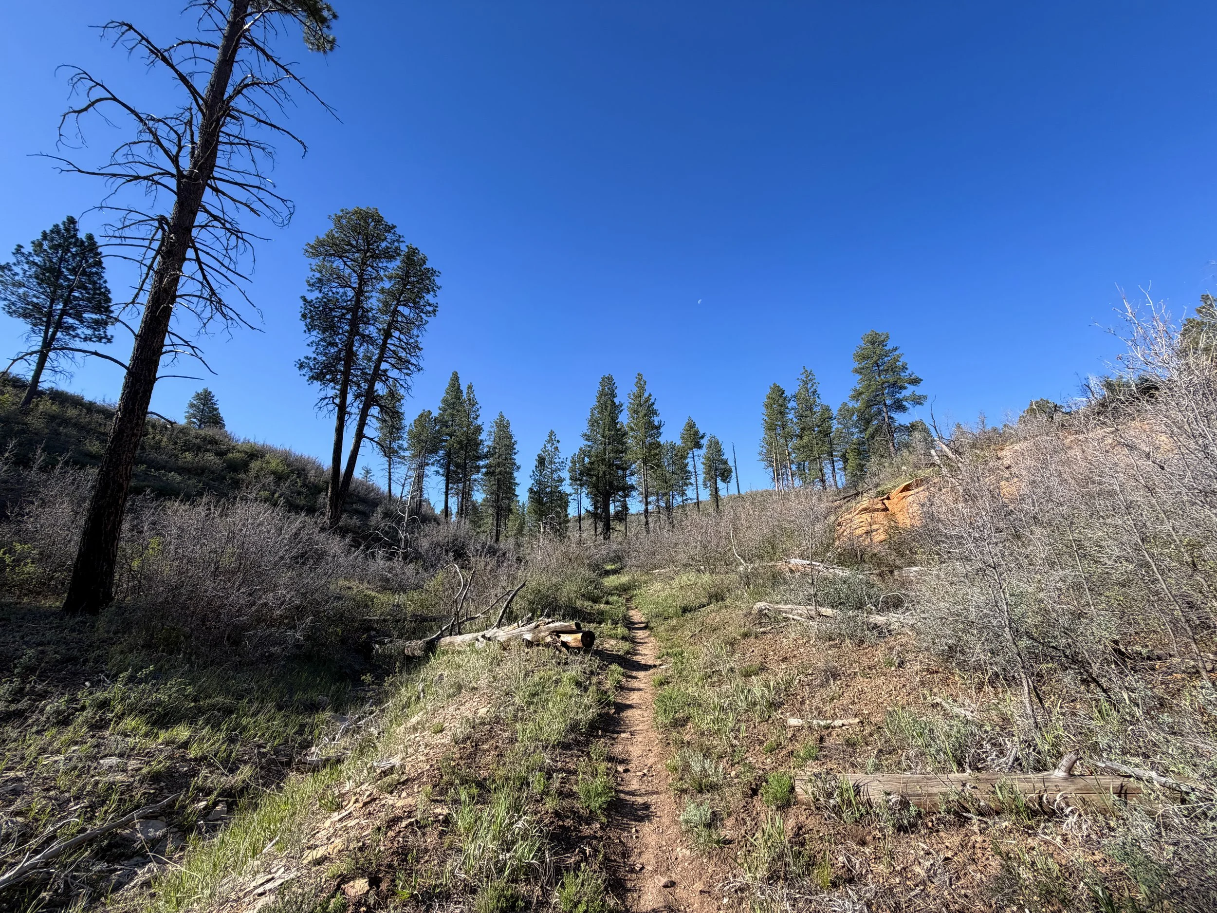 Deertrap Mountain Trail Zion National Park Utah