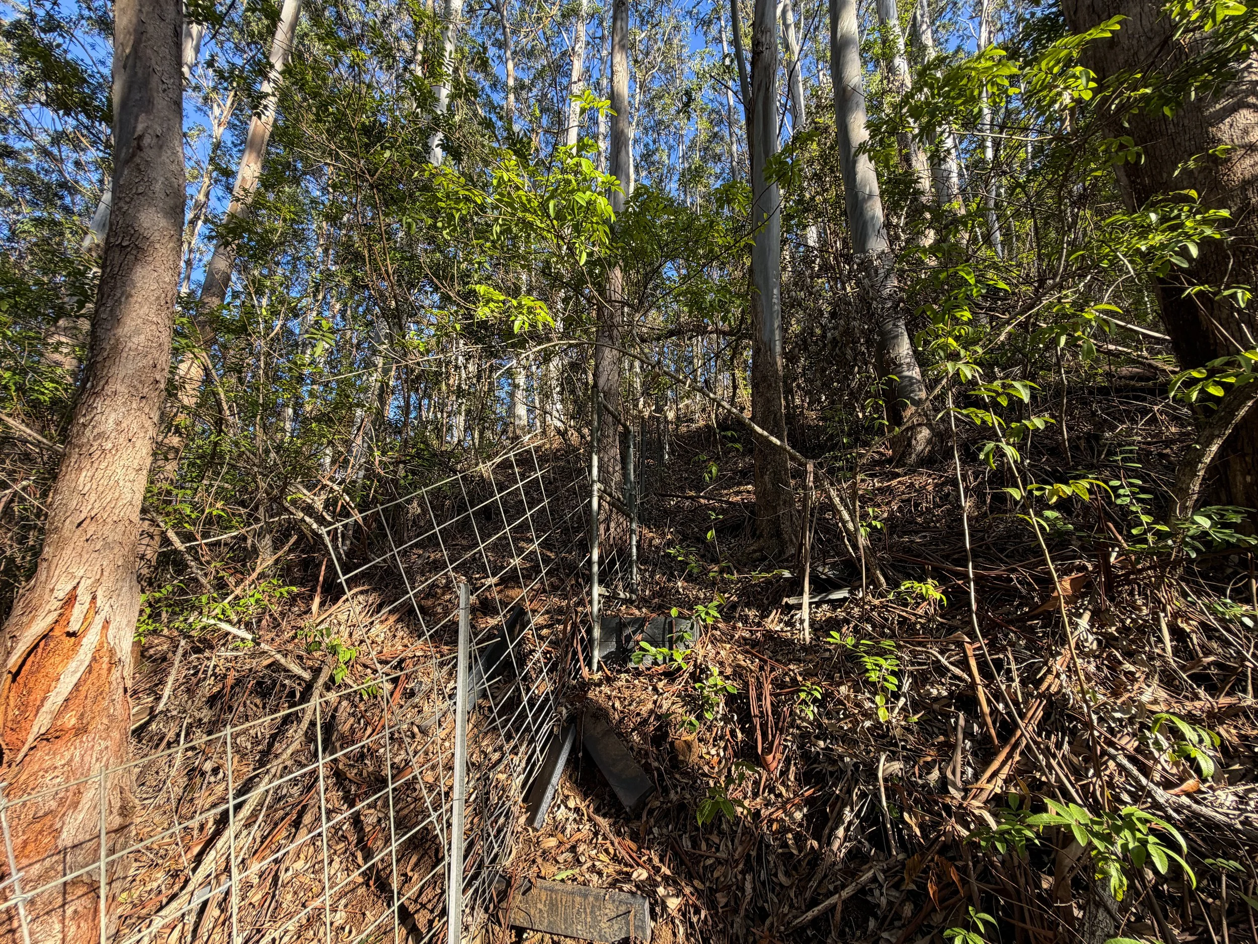 Mokuleia Trail Oahu Hawaii
