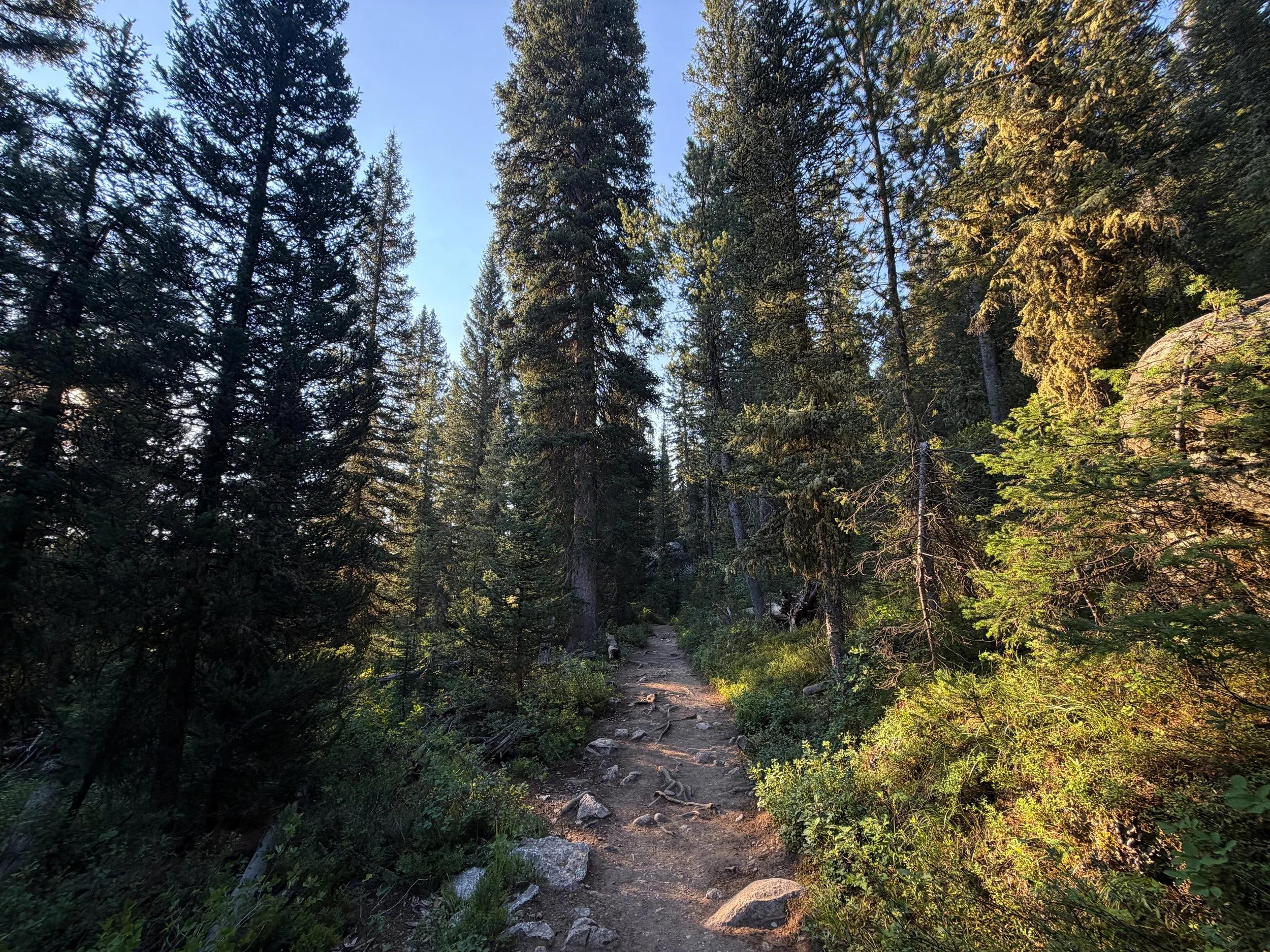 Delta Lake Trail Grand Teton National Park Wyoming
