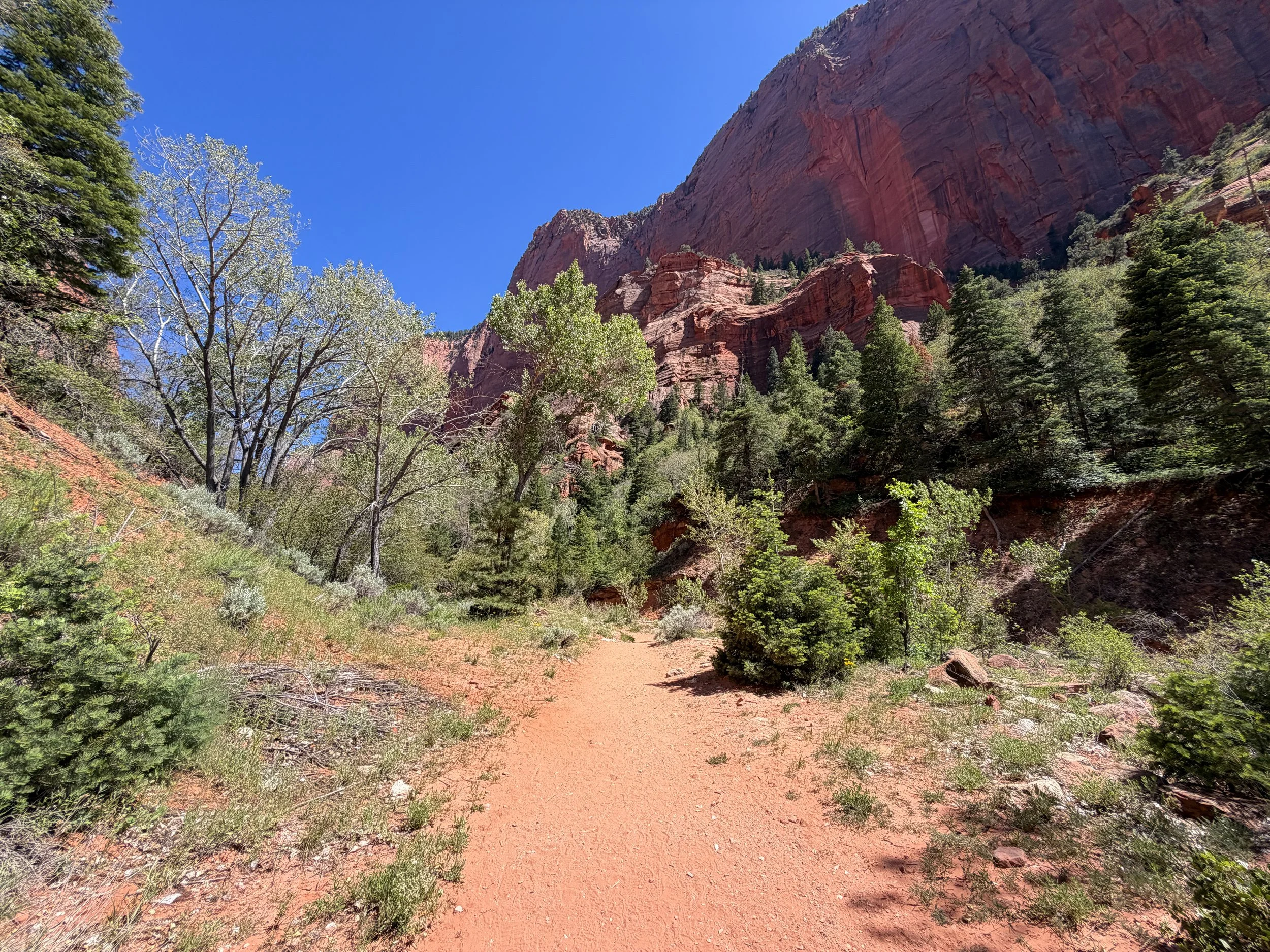 Taylor Creek Trail to Double Arch Alcove Zion National Park Utah