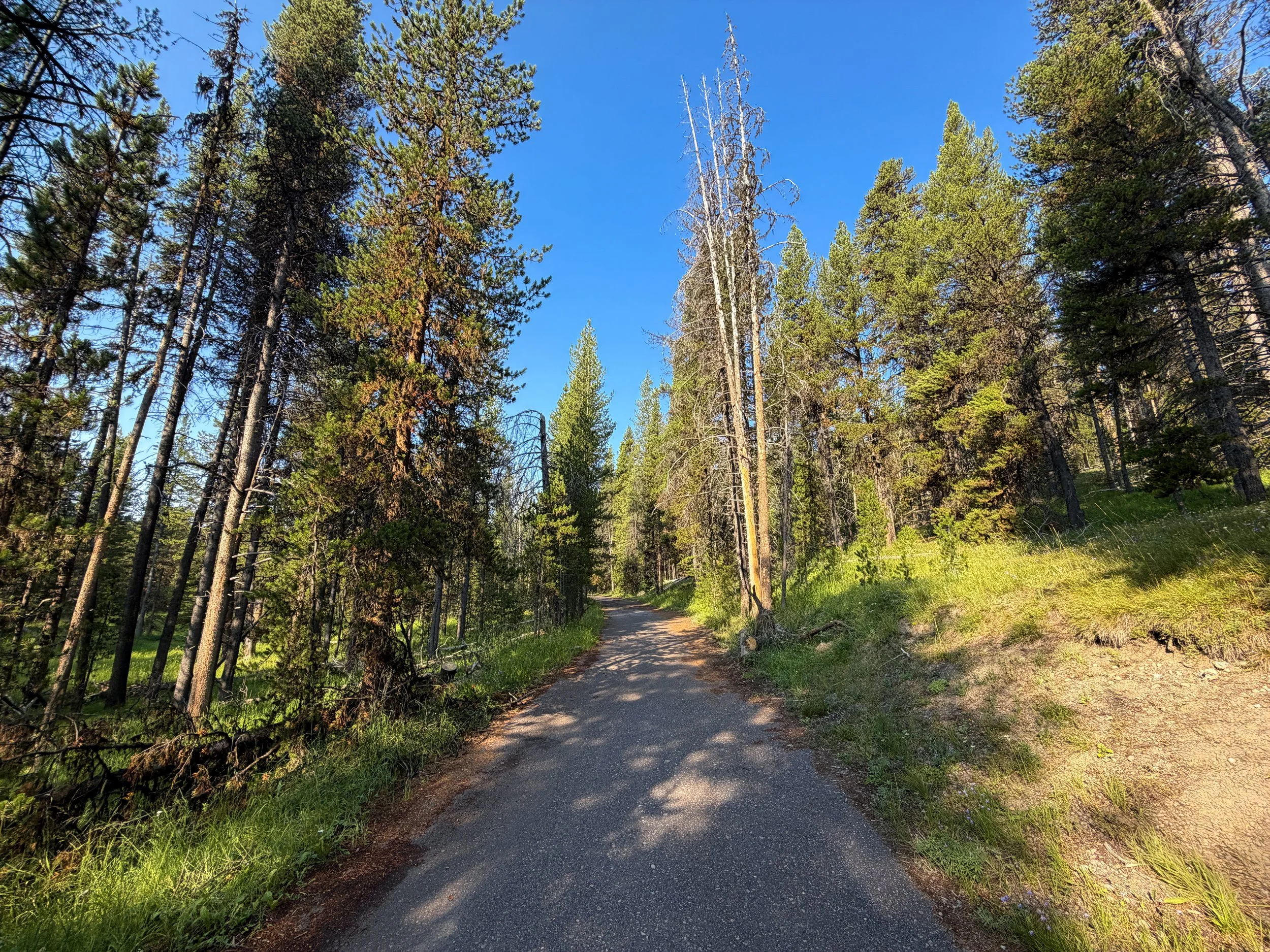 Natural Bridge Hike Yellowstone National Park Wyoming