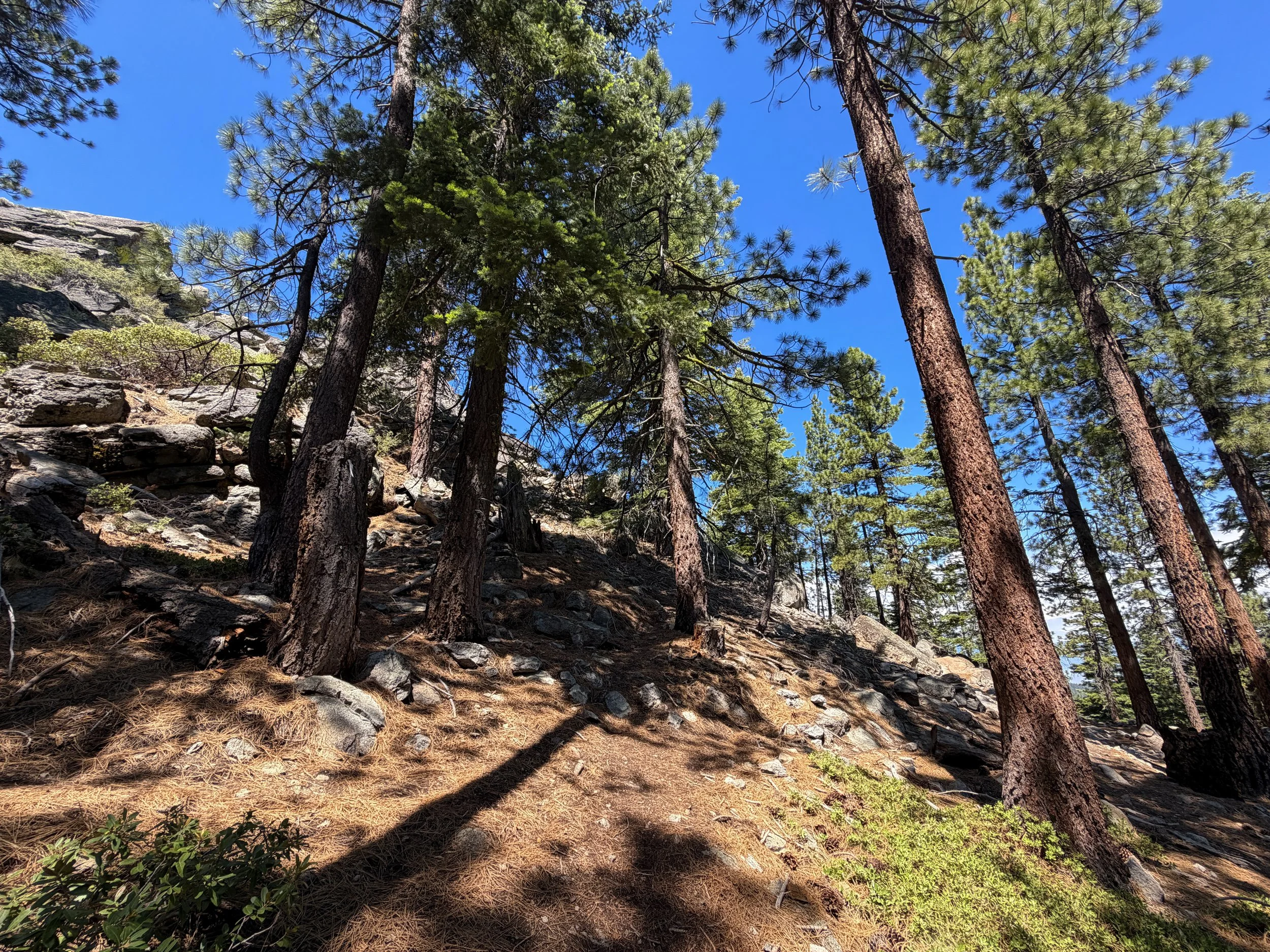 Captain Pomin Trail Lake Tahoe Nevada