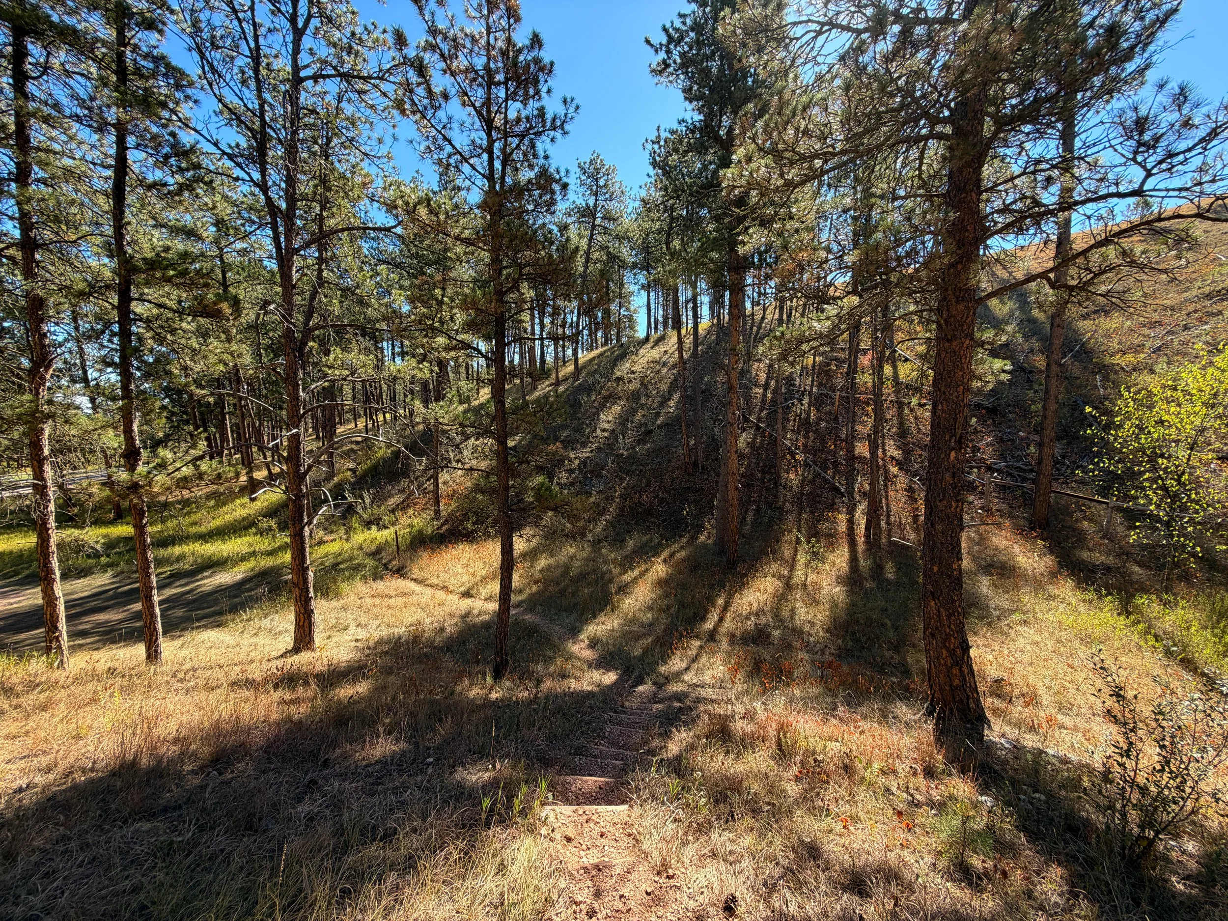 Elk Mountain Campground Trail Wind Cave National Park South Dakota