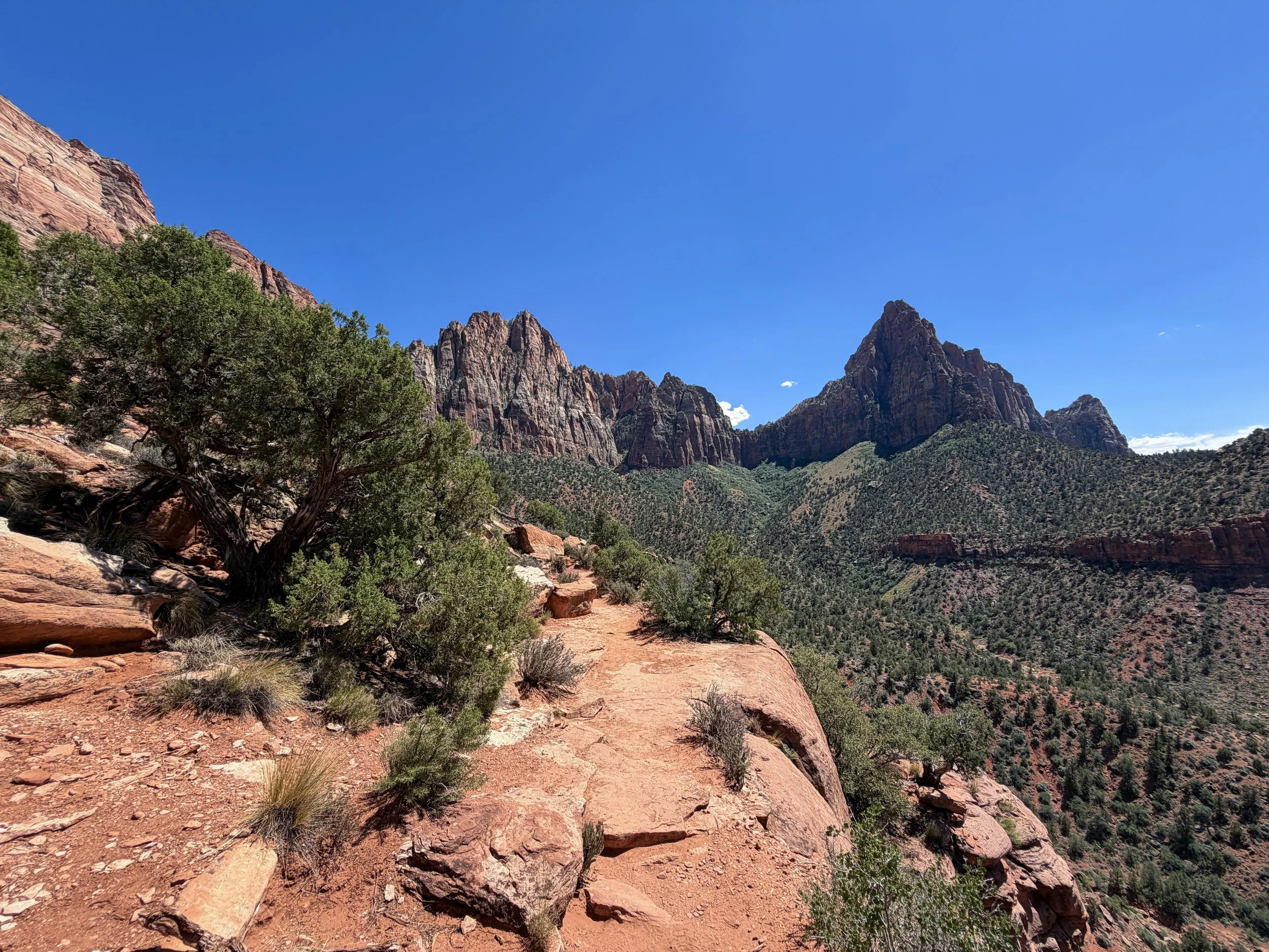 Watchman Loop Hike Zion National Park Utah
