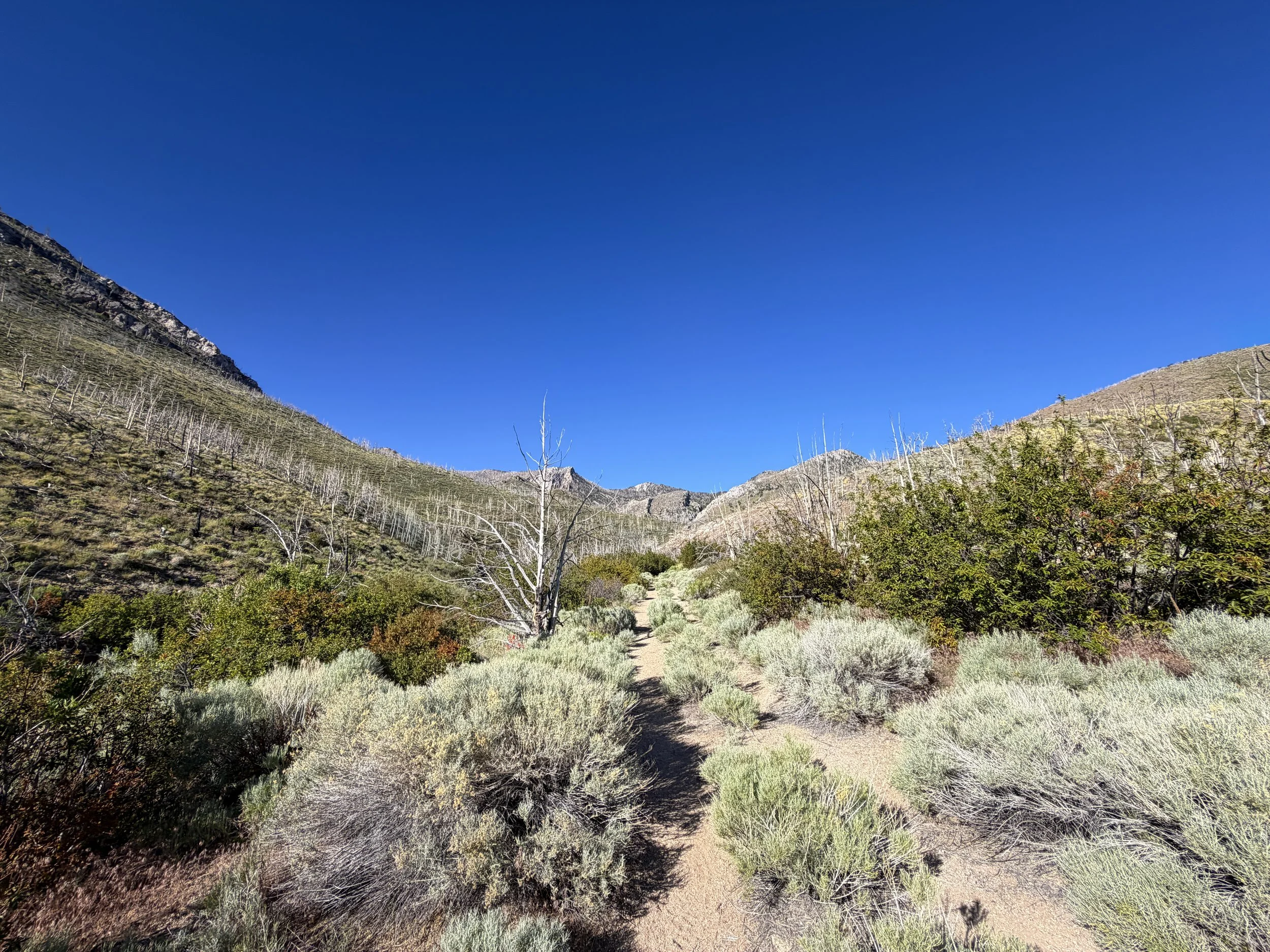 Lexington Arch Trail Great Basin National Park Nevada