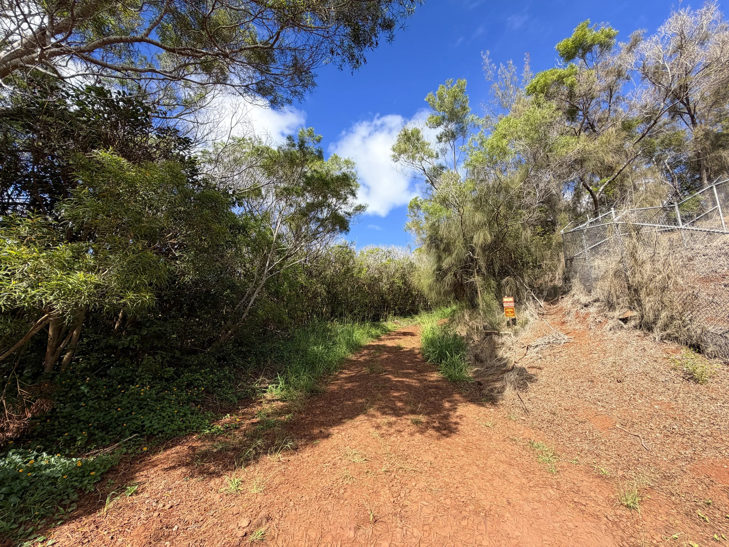 Wiliwilinui Ridge Trail Oahu Hawaii