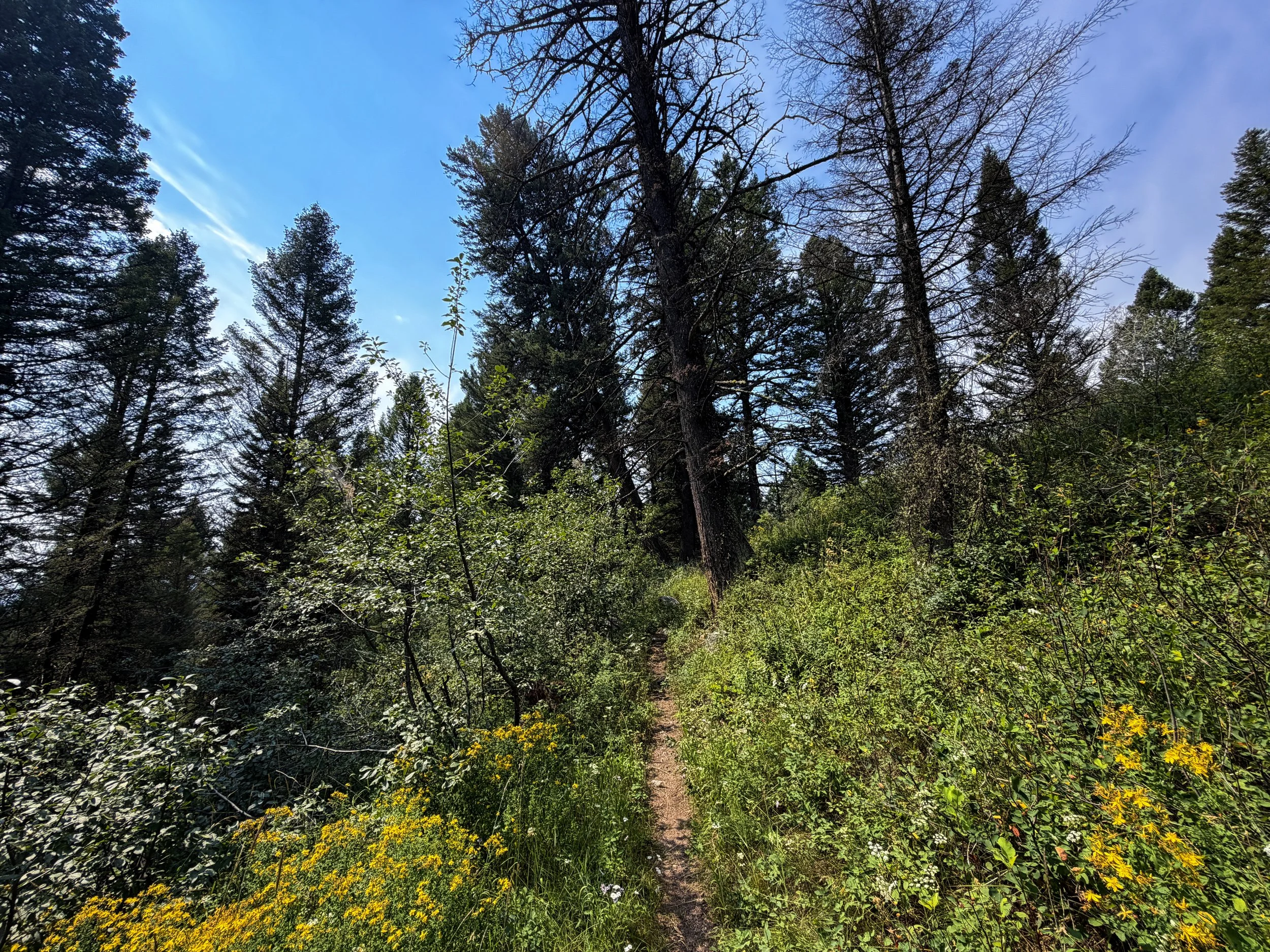 Boulder Ridge Trail Grand Teton National Park Wyoming
