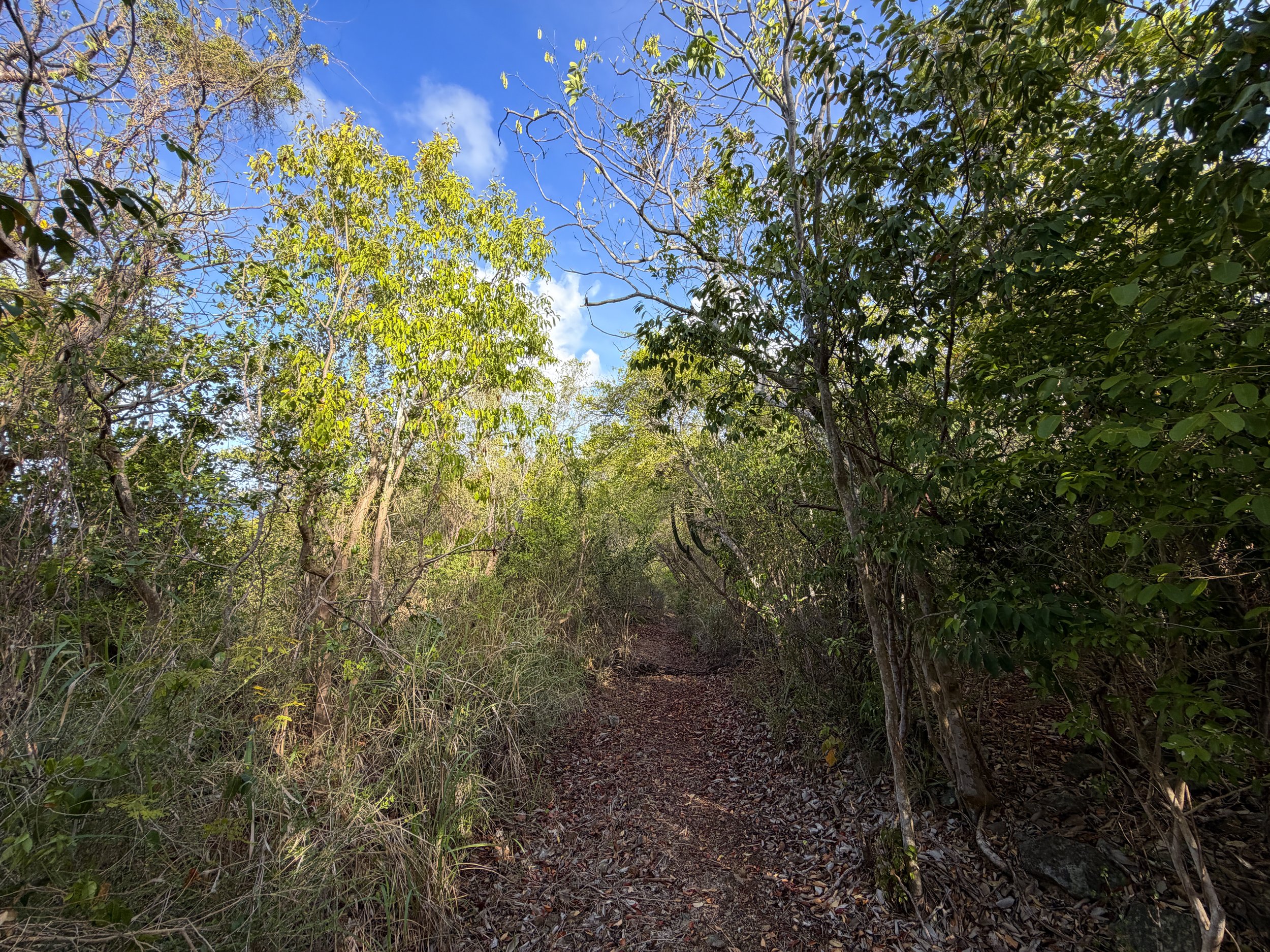 Tektite Trail Virgin Islands National Park