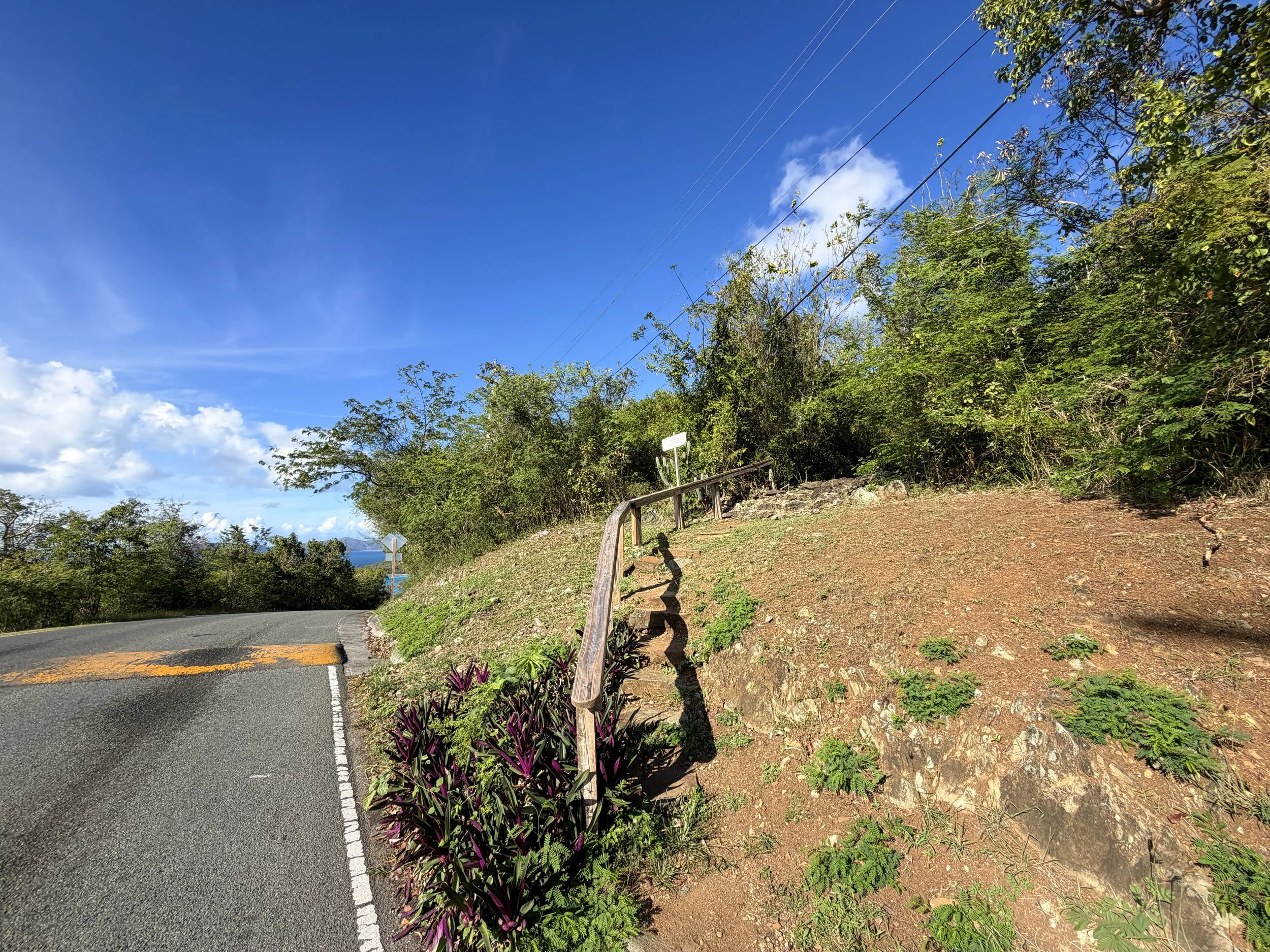 Caneel Hill Spur Trailhead Virgin Islands National Park