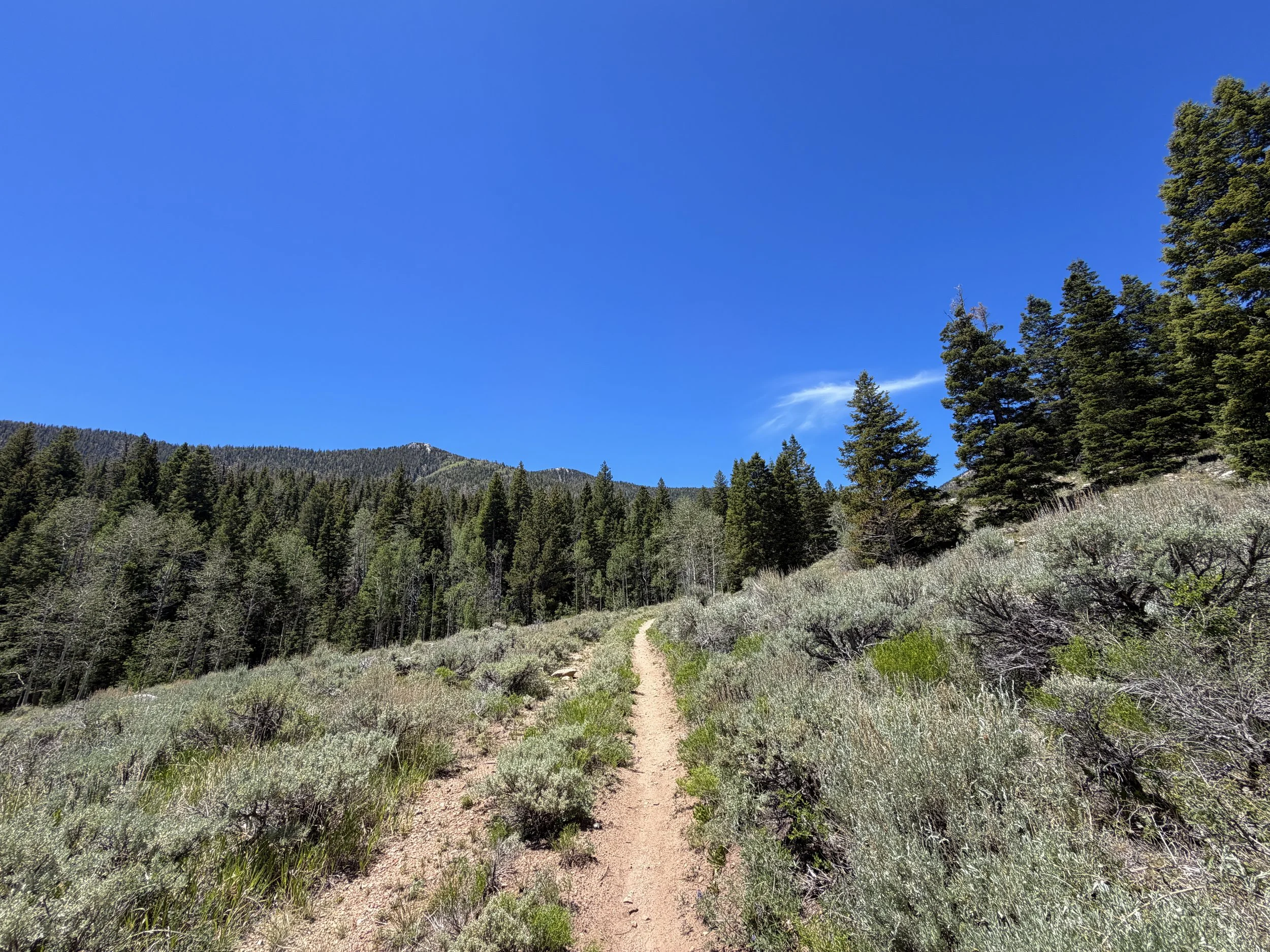 Dead Lake Trail Great Basin National Park Nevada