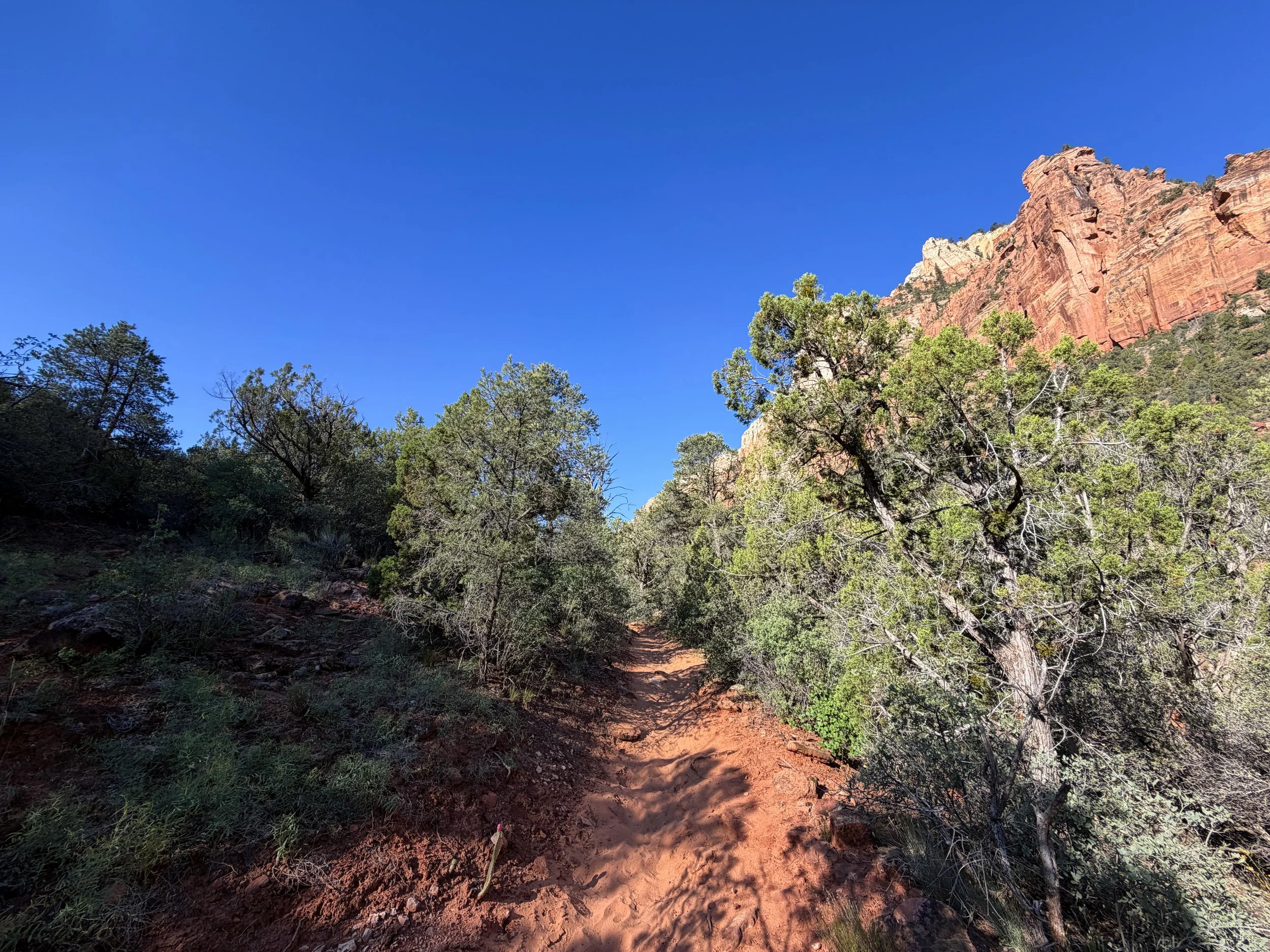 Sand Bench Loop Trail Zion National Park Utah