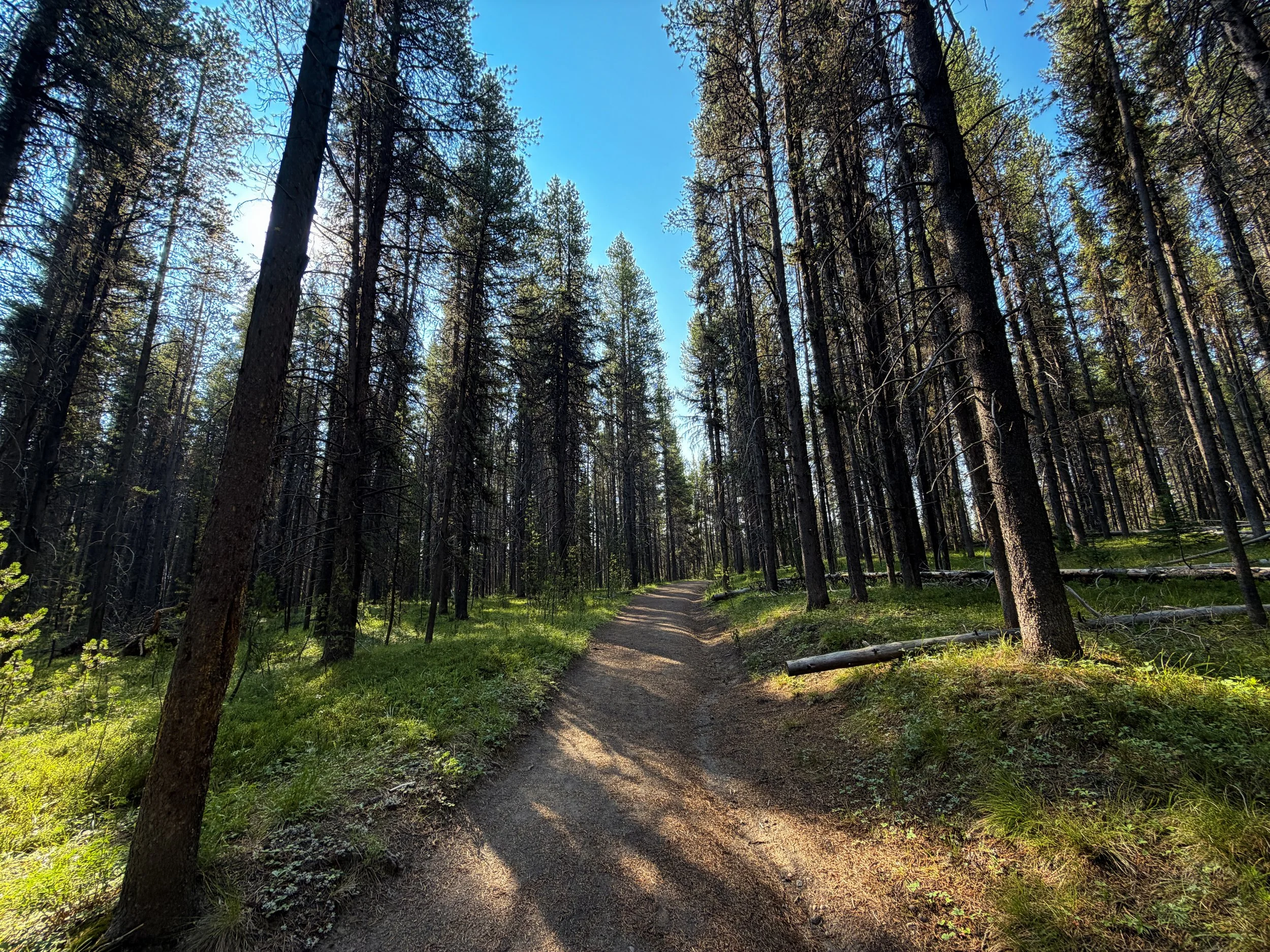 Natural Bridge Trail Yellowstone National Park Wyoming