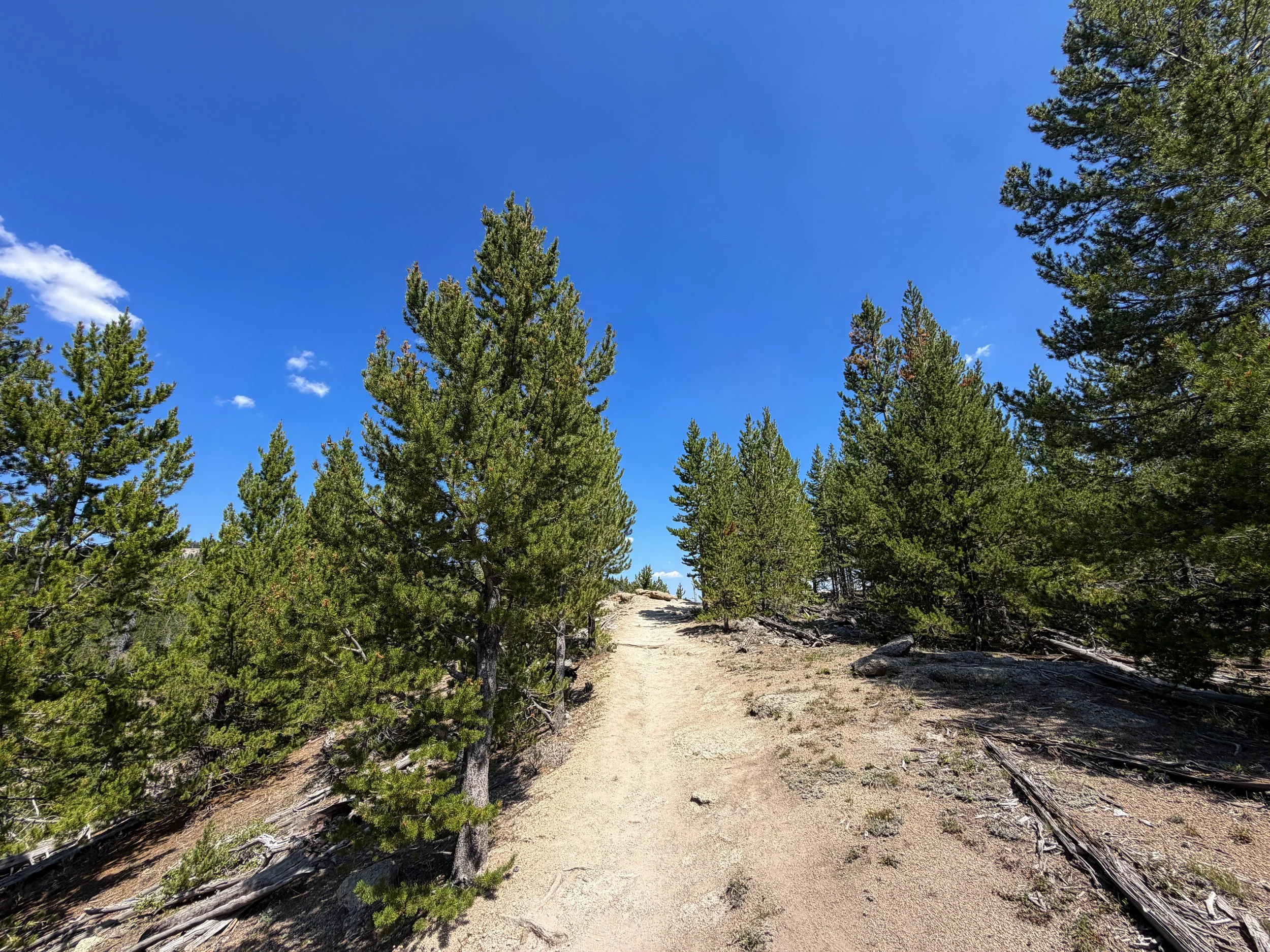 Bunsen Peak Trail Yellowstone National Park Wyoming