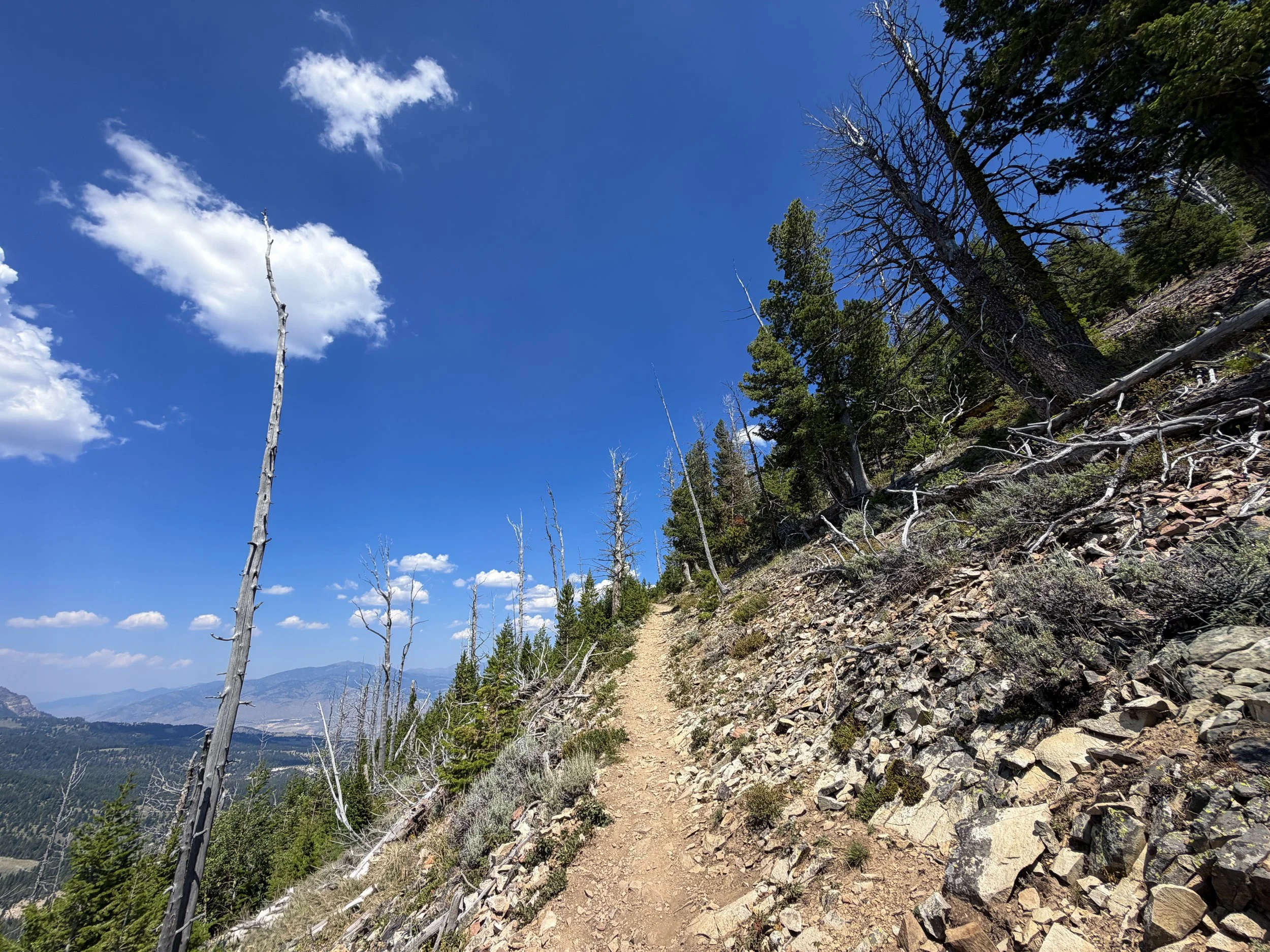 Bunsen Peak Trail Yellowstone National Park Wyoming