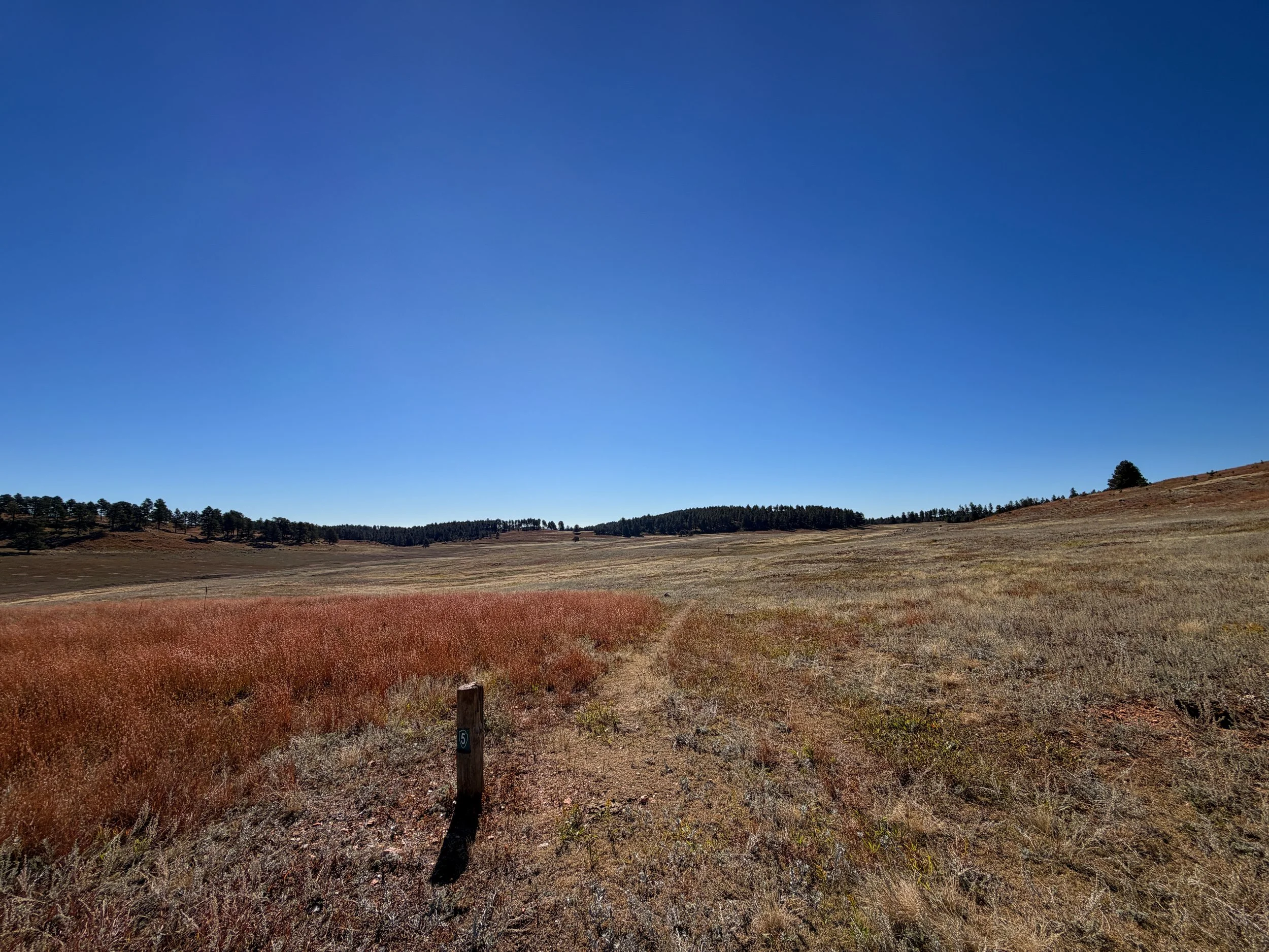 Sanctuary Trail to Highland Creek Trail Wind Cave National Park South Dakota