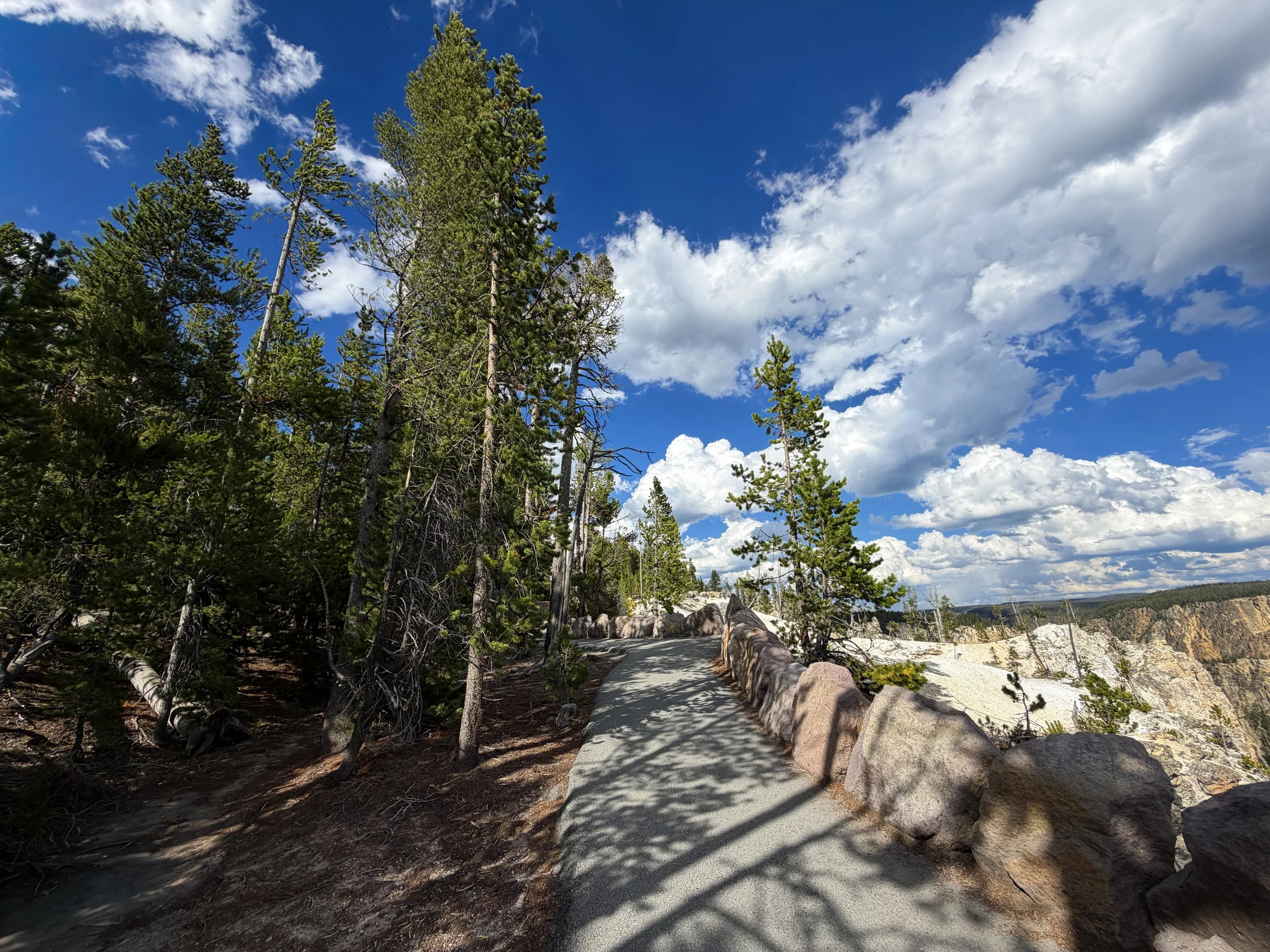 North Rim Trail Yellowstone National Park Wyoming