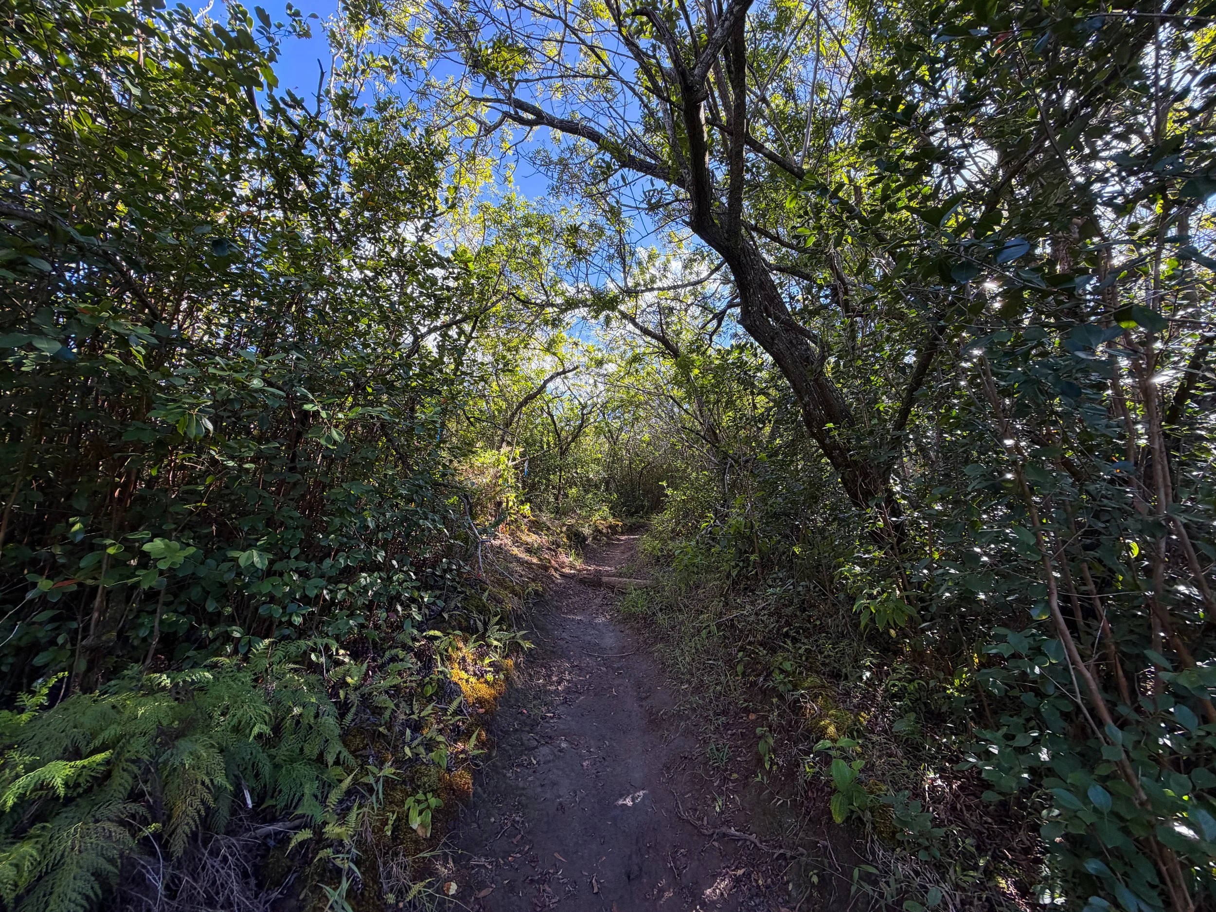 Mokuleia Trail Oahu Hawaii