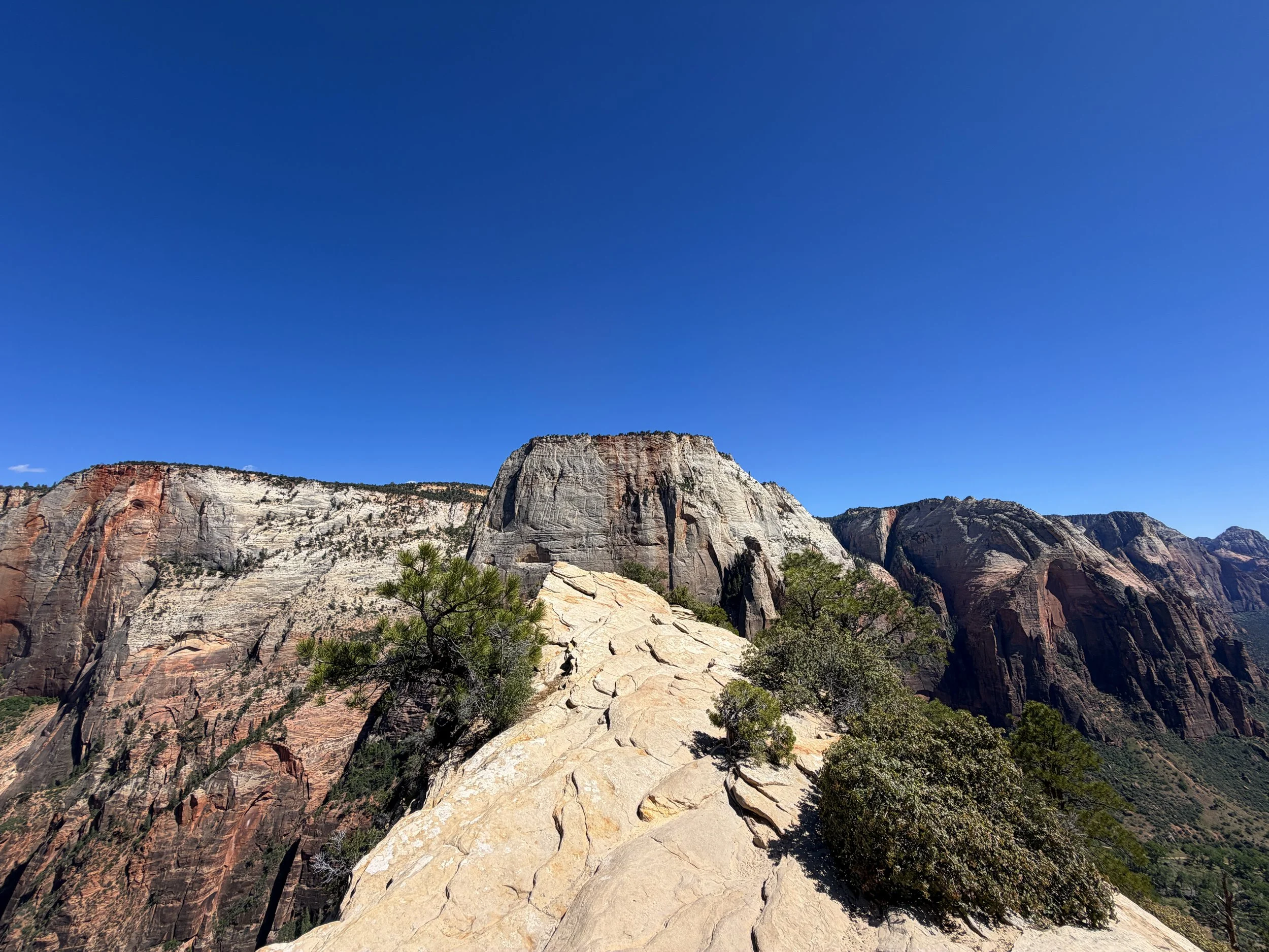 Angels Landing Summit Zion National Park Utah