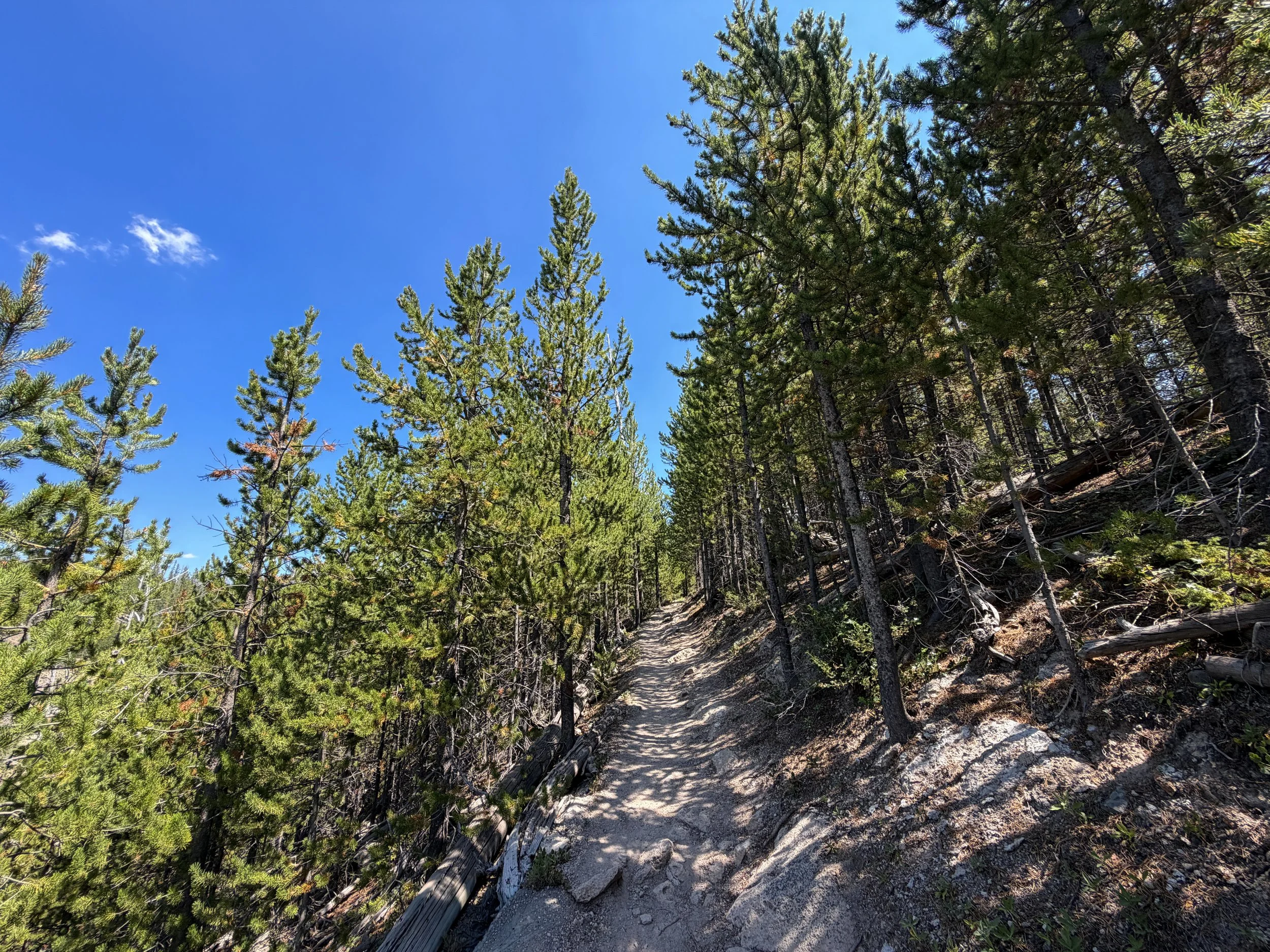Bunsen Peak Trail Yellowstone National Park Wyoming