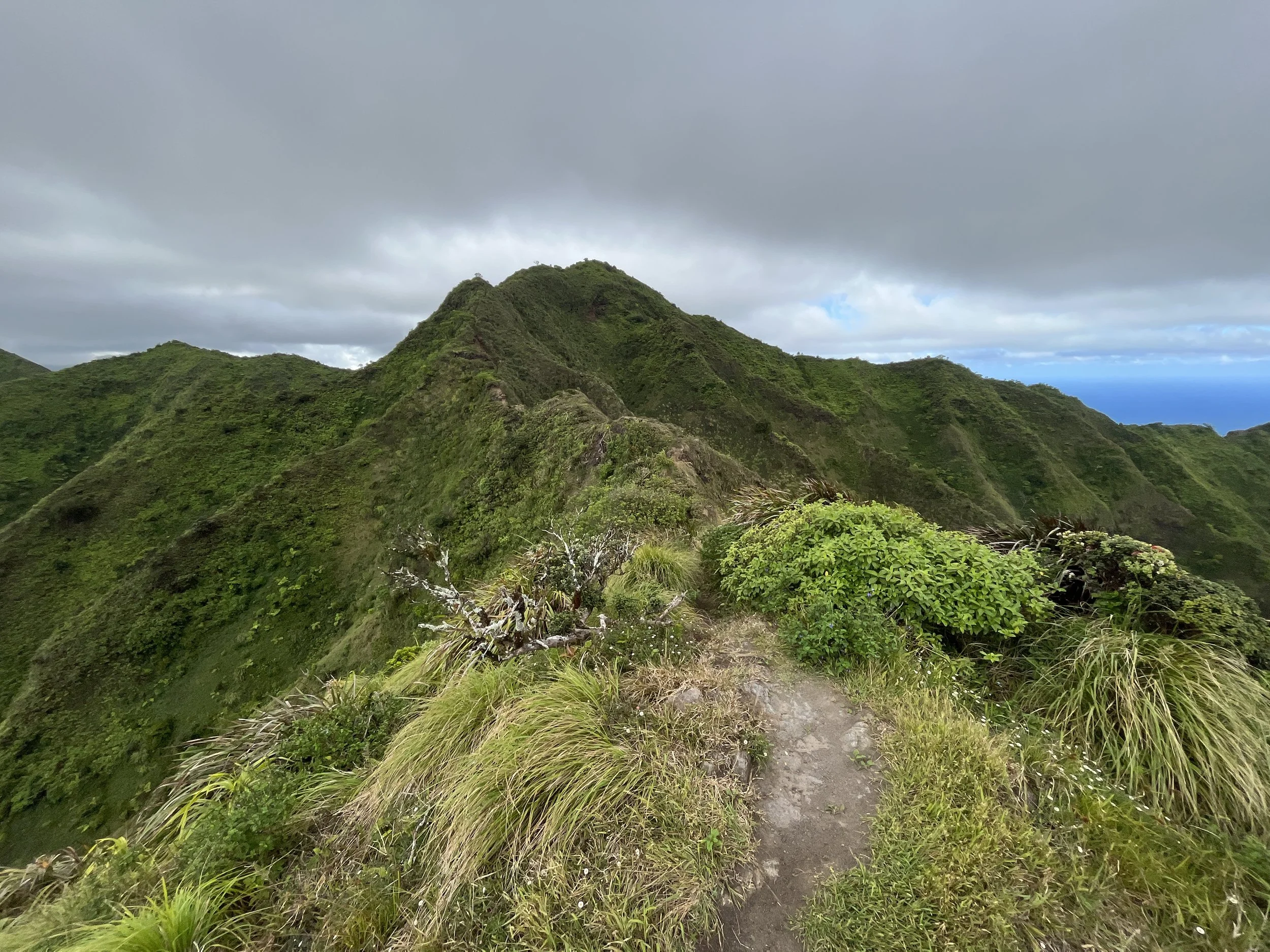Hiking the Puʻu ʻO Kona Trail via Kuliʻouʻou Valley on Oʻahu — noahawaii