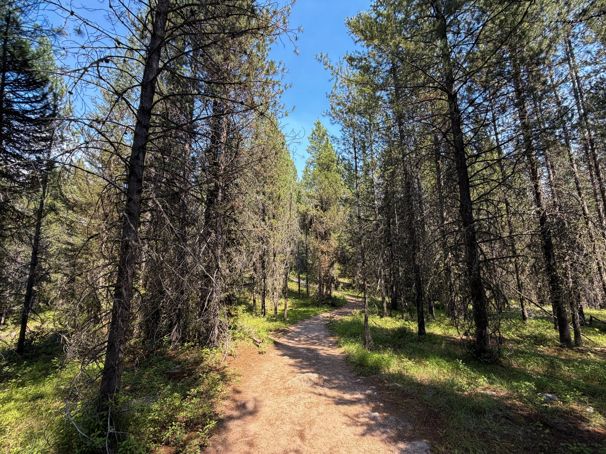Phelps Lake Loop Trail Grand Teton National Park Wyoming
