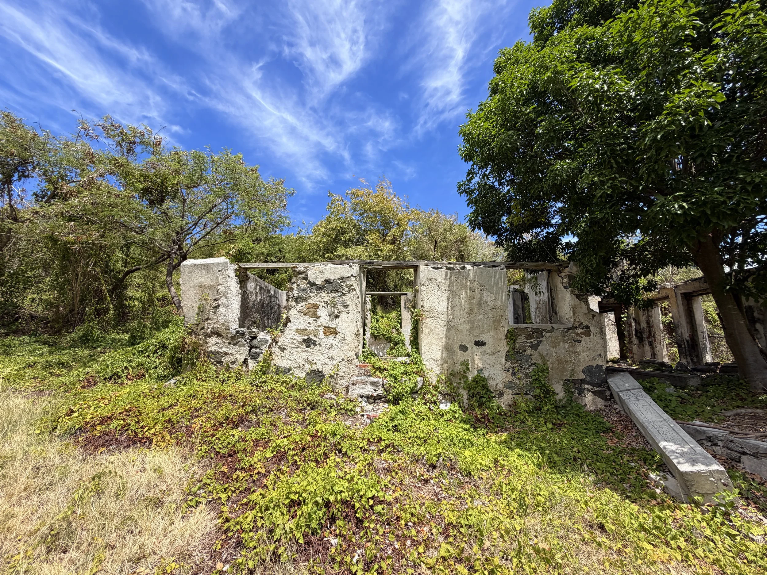 Francis Bay Trail Ruins Virgin Islands National Park