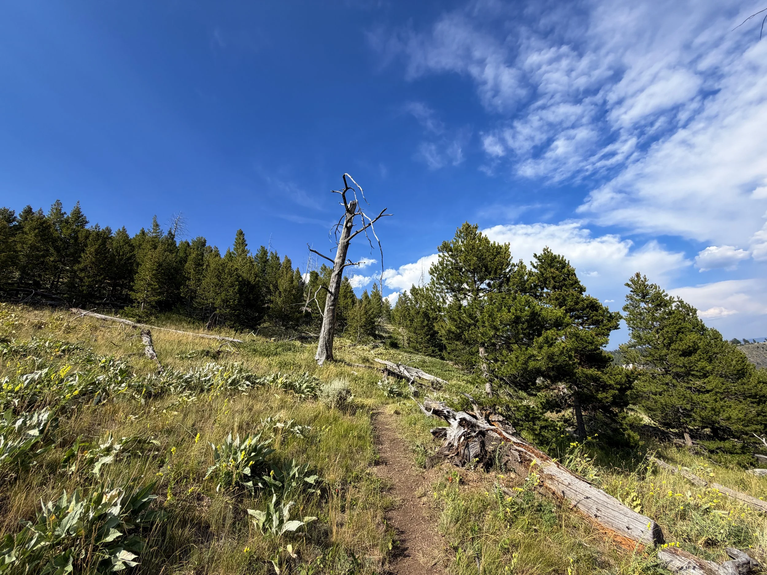 Bunsen Peak Trail Yellowstone National Park Wyoming