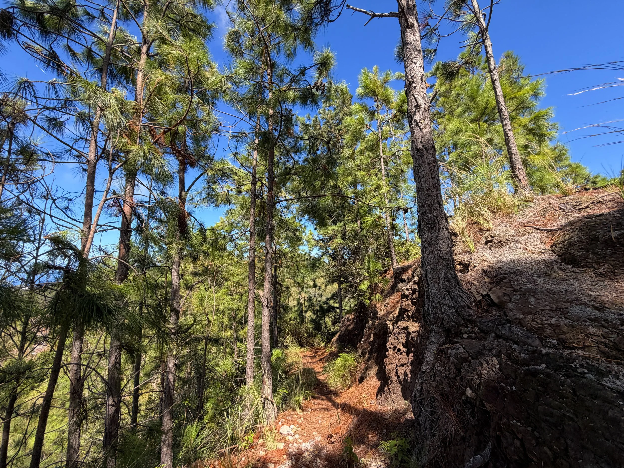 Kuaokala Hike Oahu Hawaii