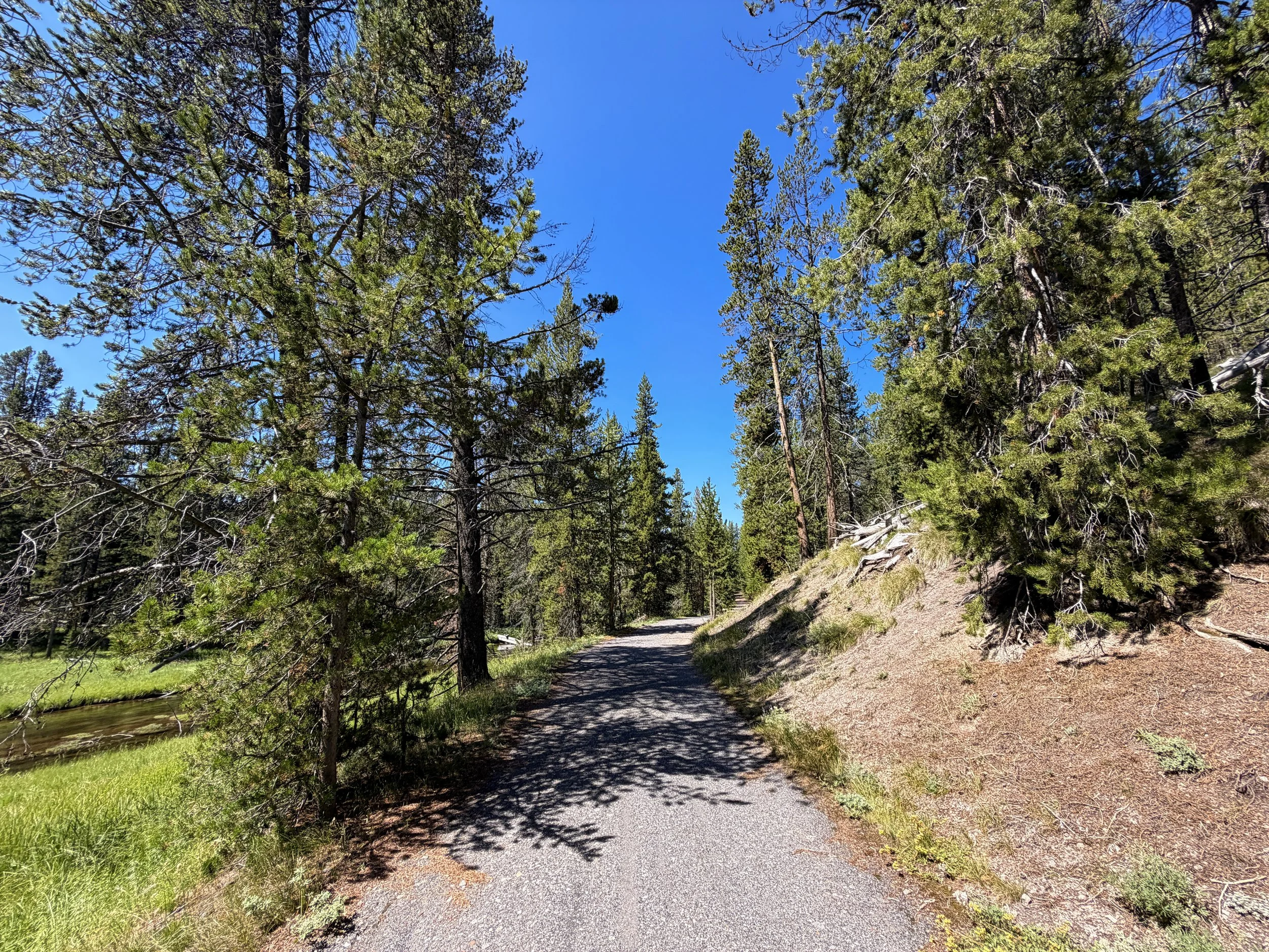 Lone Star Trail Yellowstone National Park Wyoming