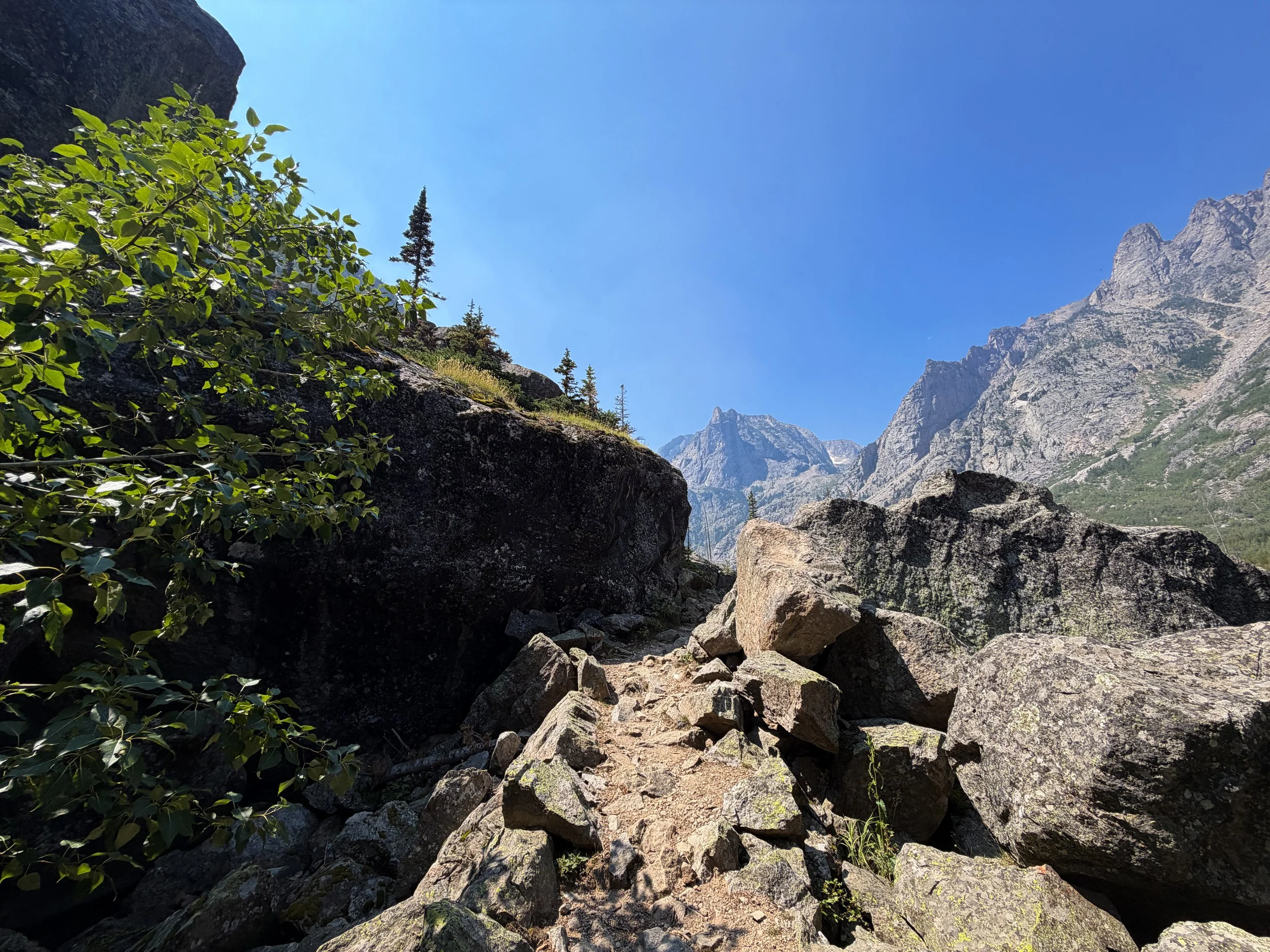 East Rosebud Trail Beaten Path Beartooth Mountains Montana