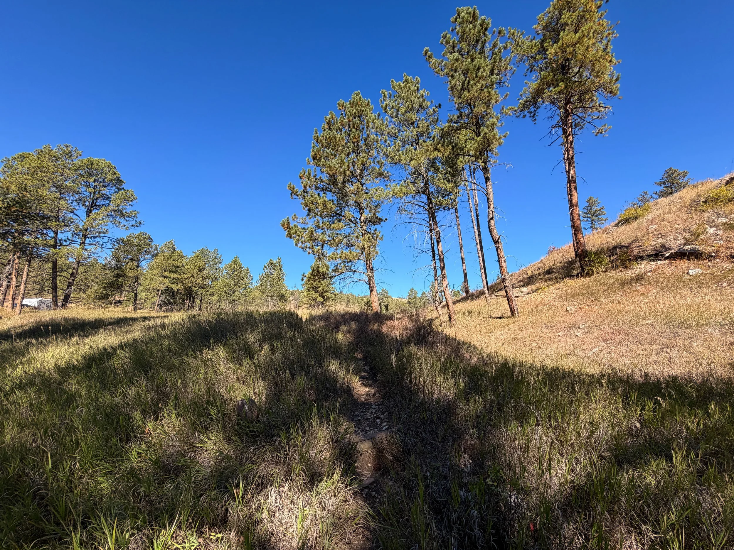 Elk Mountain Nature Trail Wind Cave National Park South Dakota