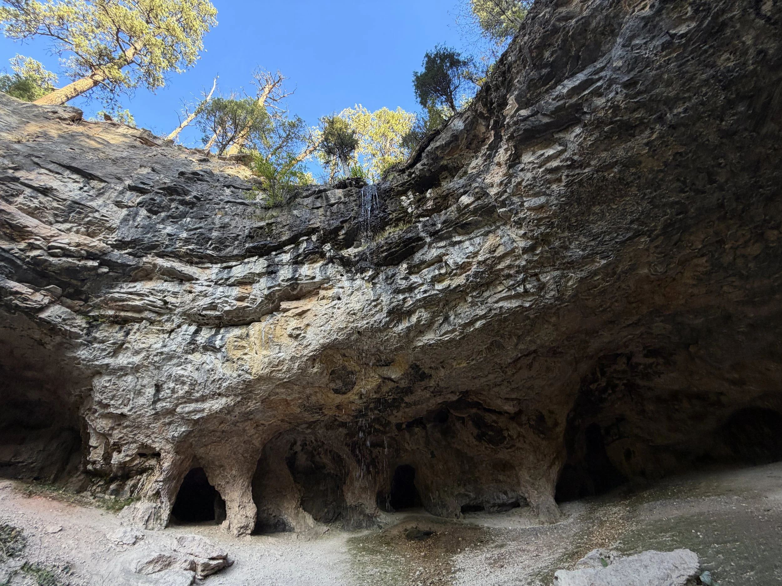 Community Caves Spearfish Canyon Black Hills South Dakota