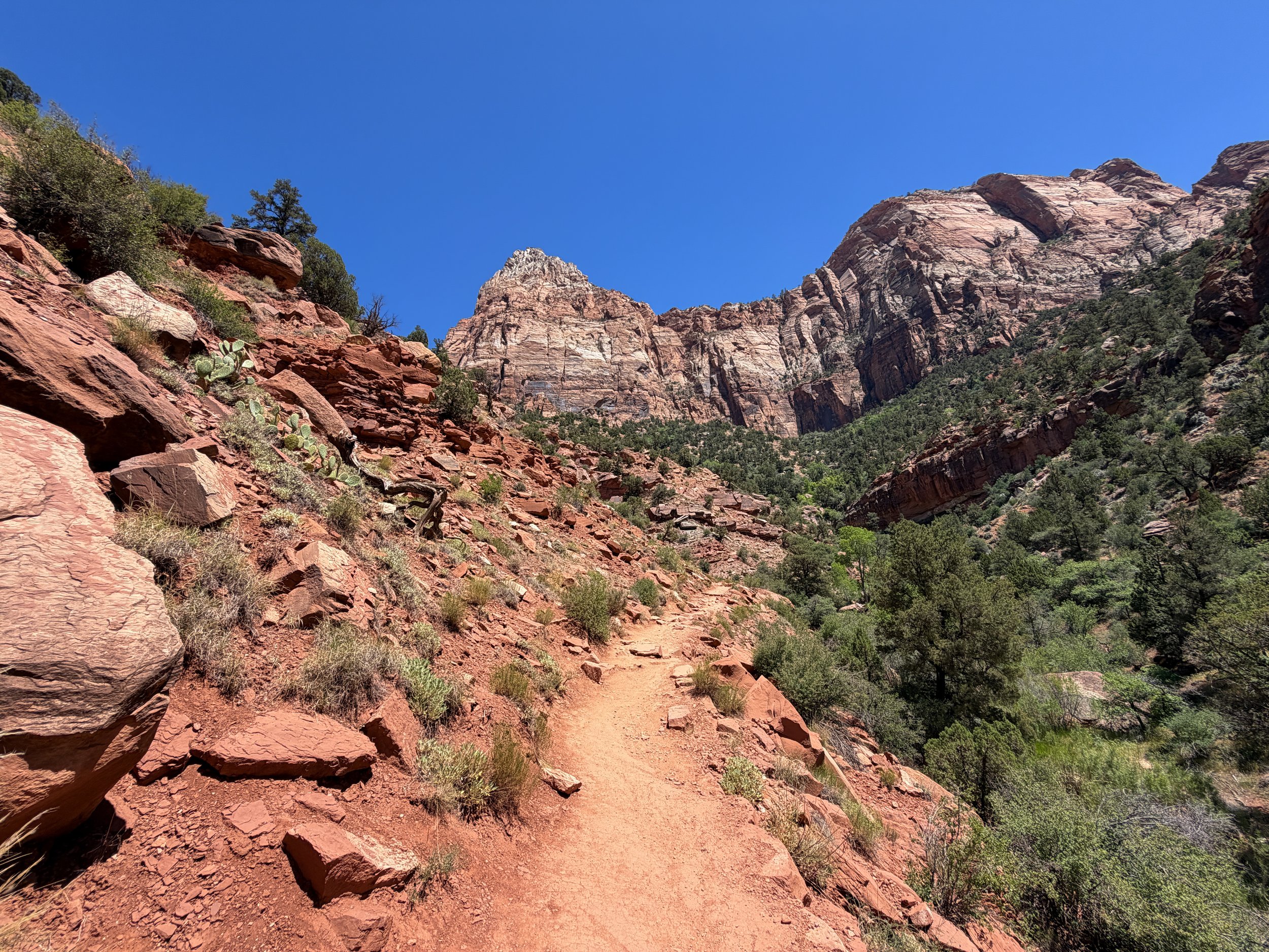 Watchman Hike Zion National Park Utah