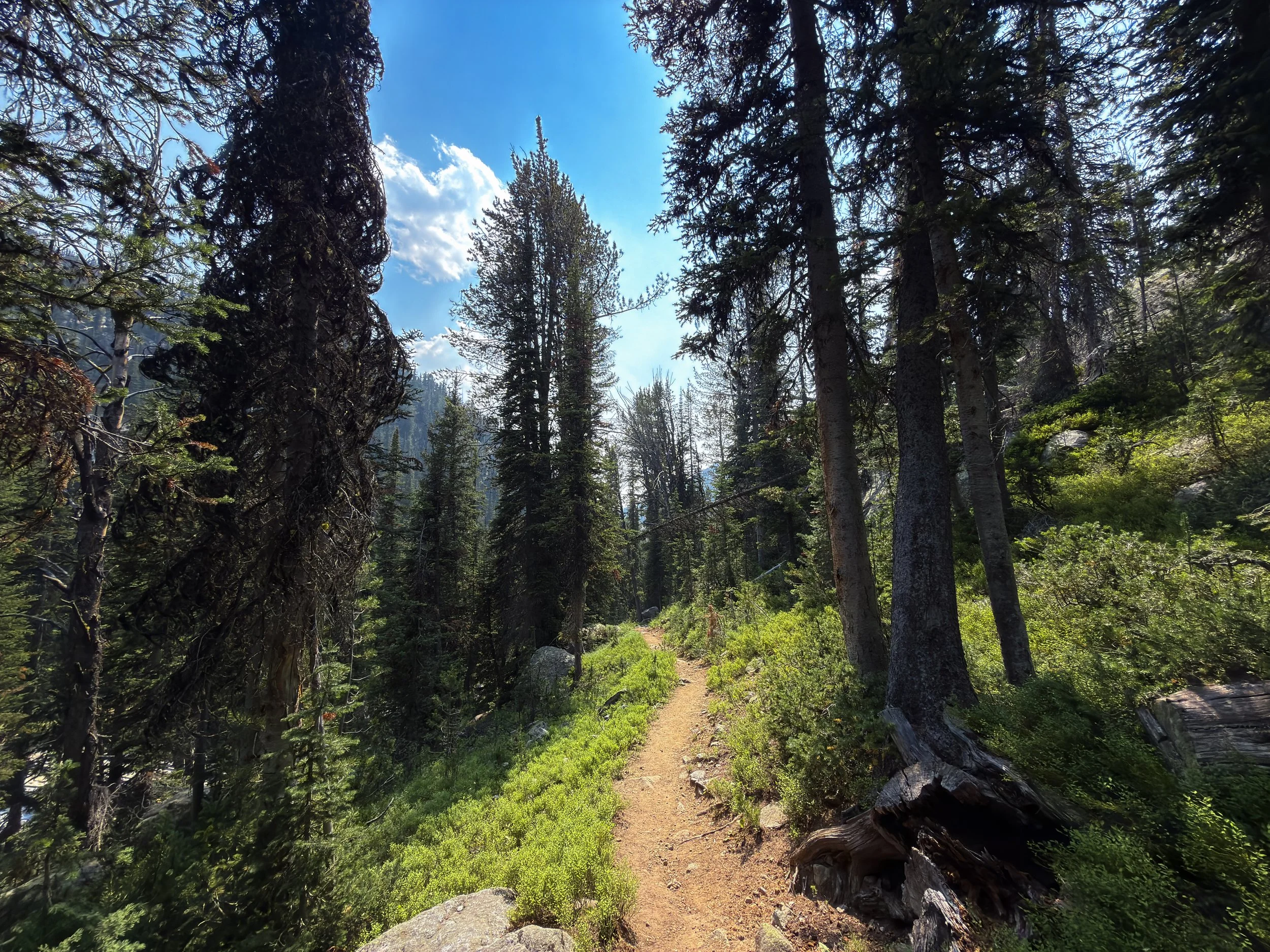 Russell Creek Trail The Beaten Path Beartooth Mountains Montana