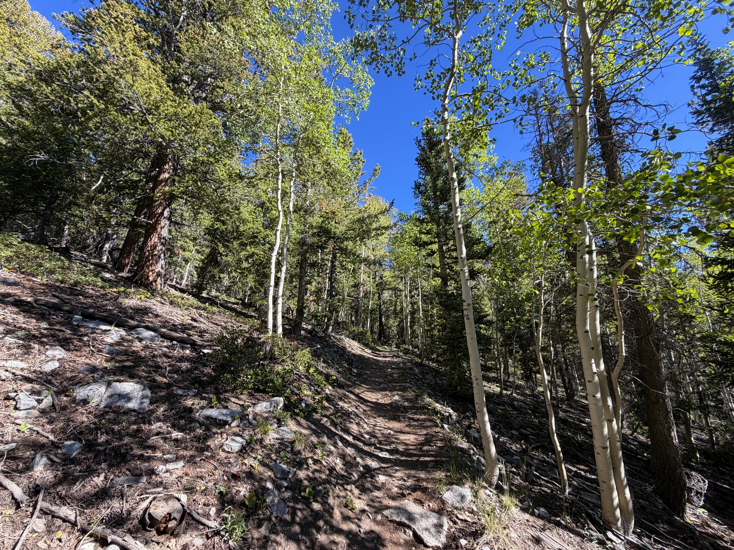 Lehman Creek Trail Great Basin National Park Nevada
