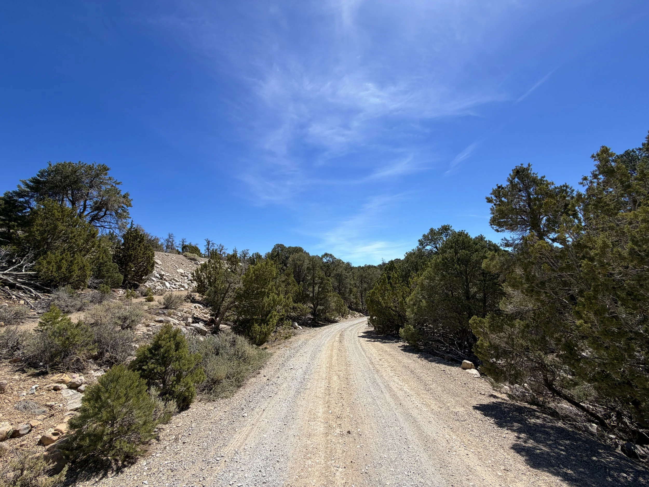 Pole Canyon Loop Trail Great Basin National Park Nevada