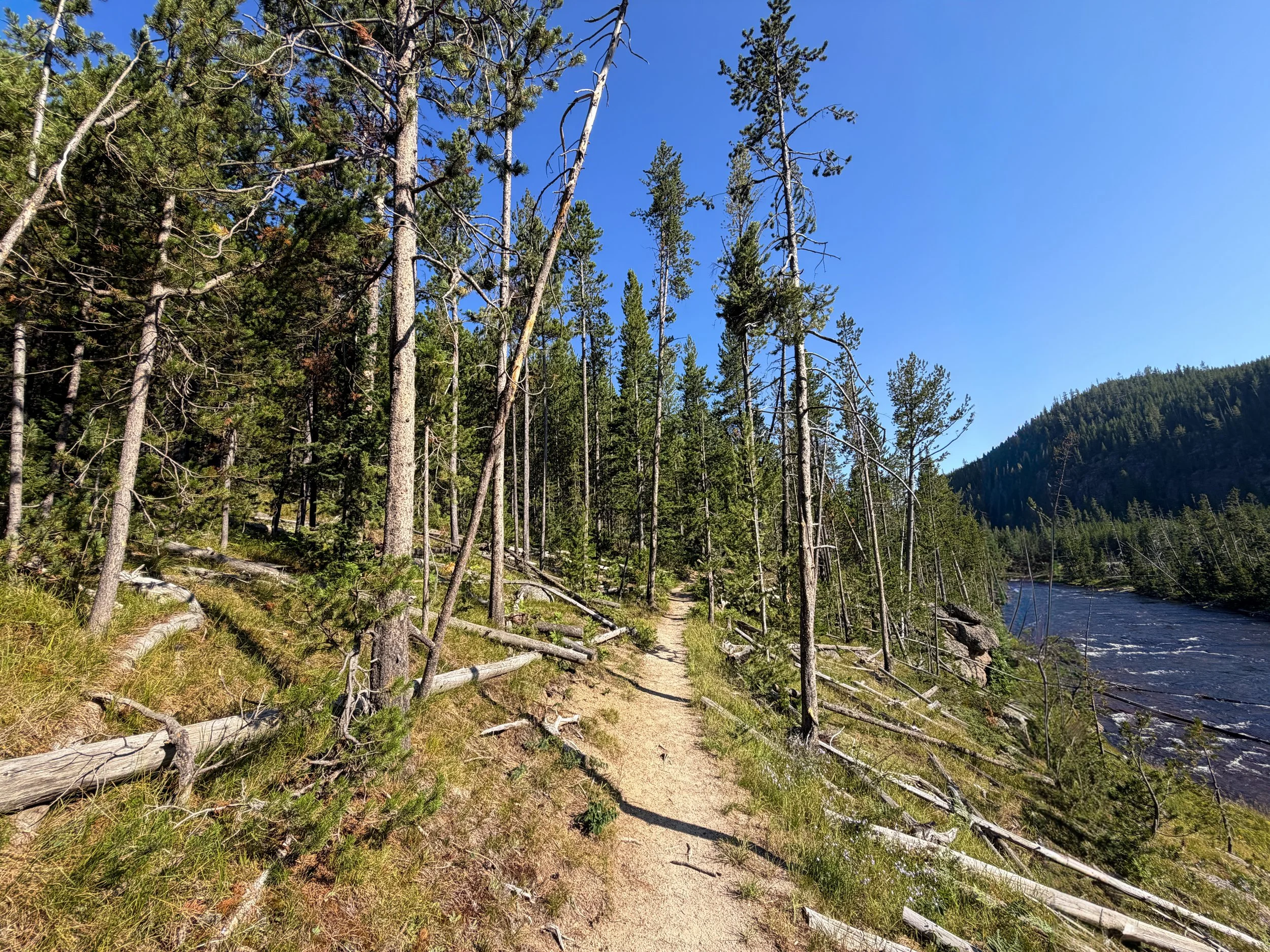 Monument Geyser Basin Trail Yellowstone National Park Wyoming
