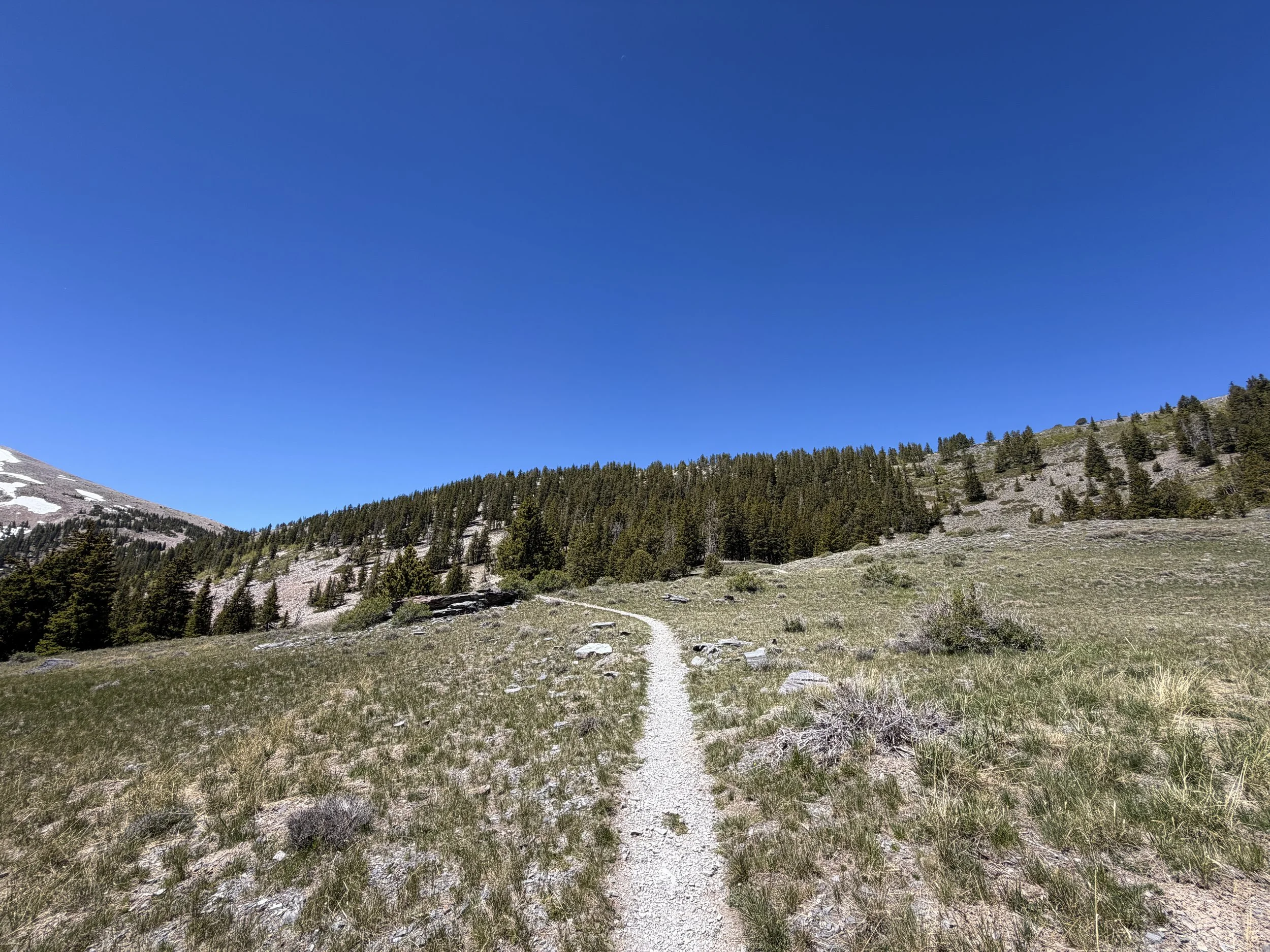 Wheeler Peak Hike Great Basin National Park Nevada