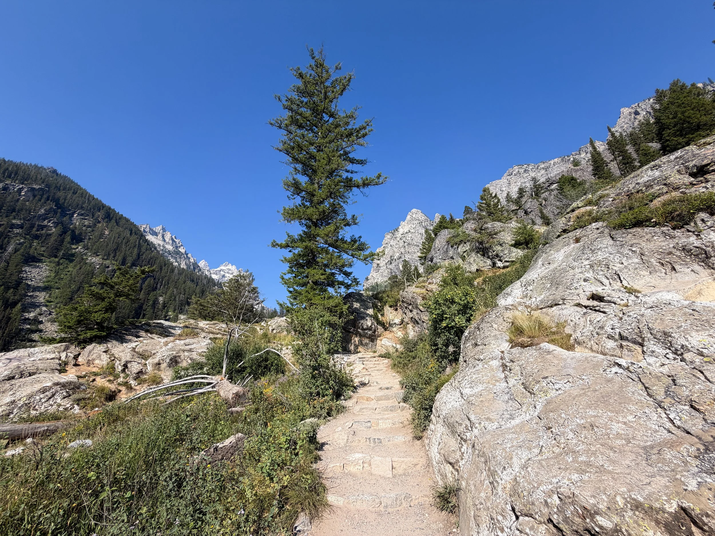 Inspiration Point Trail Grand Teton National Park Wyoming