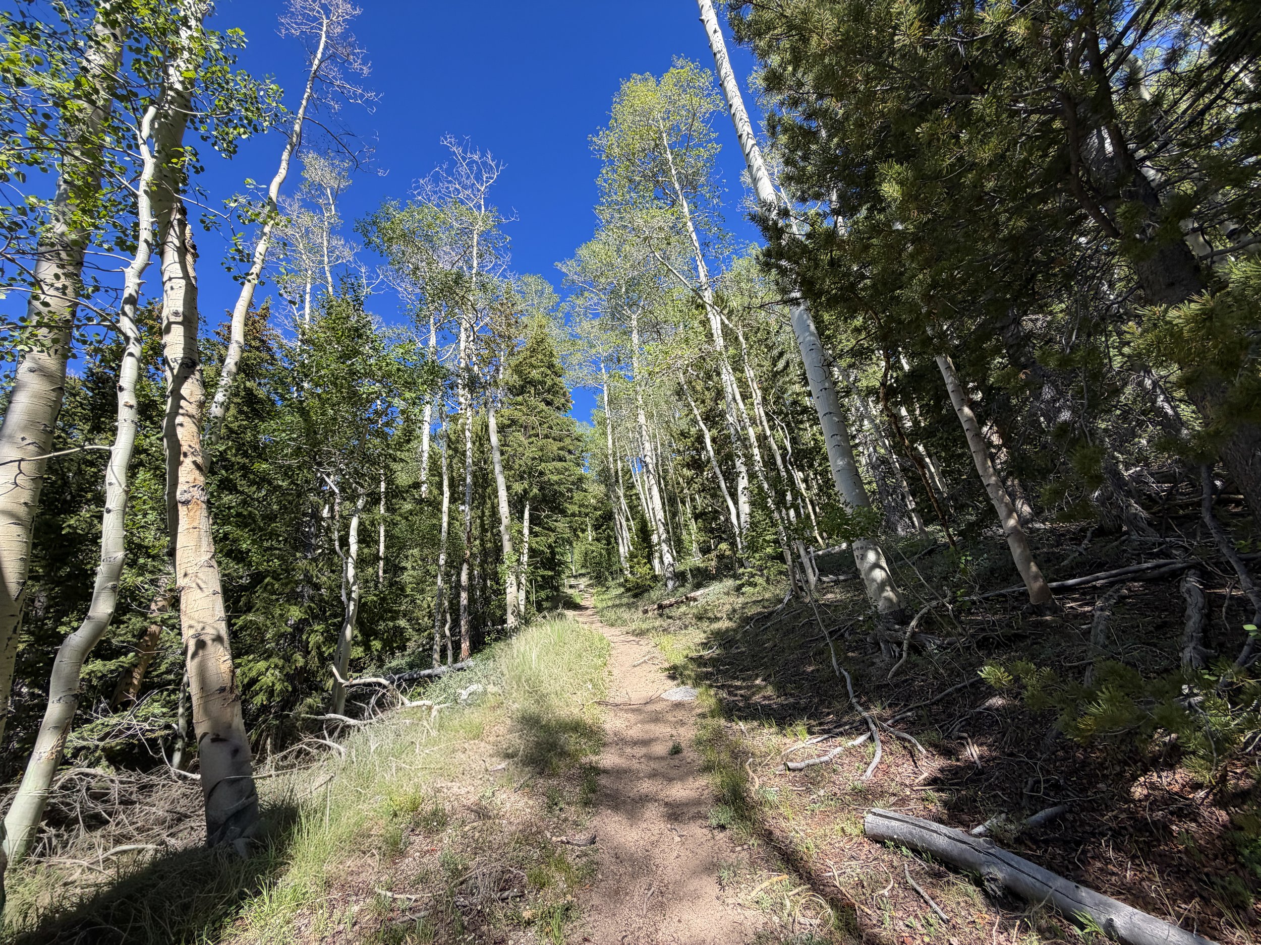 Johnson Lake Trail Great Basin National Park Nevada