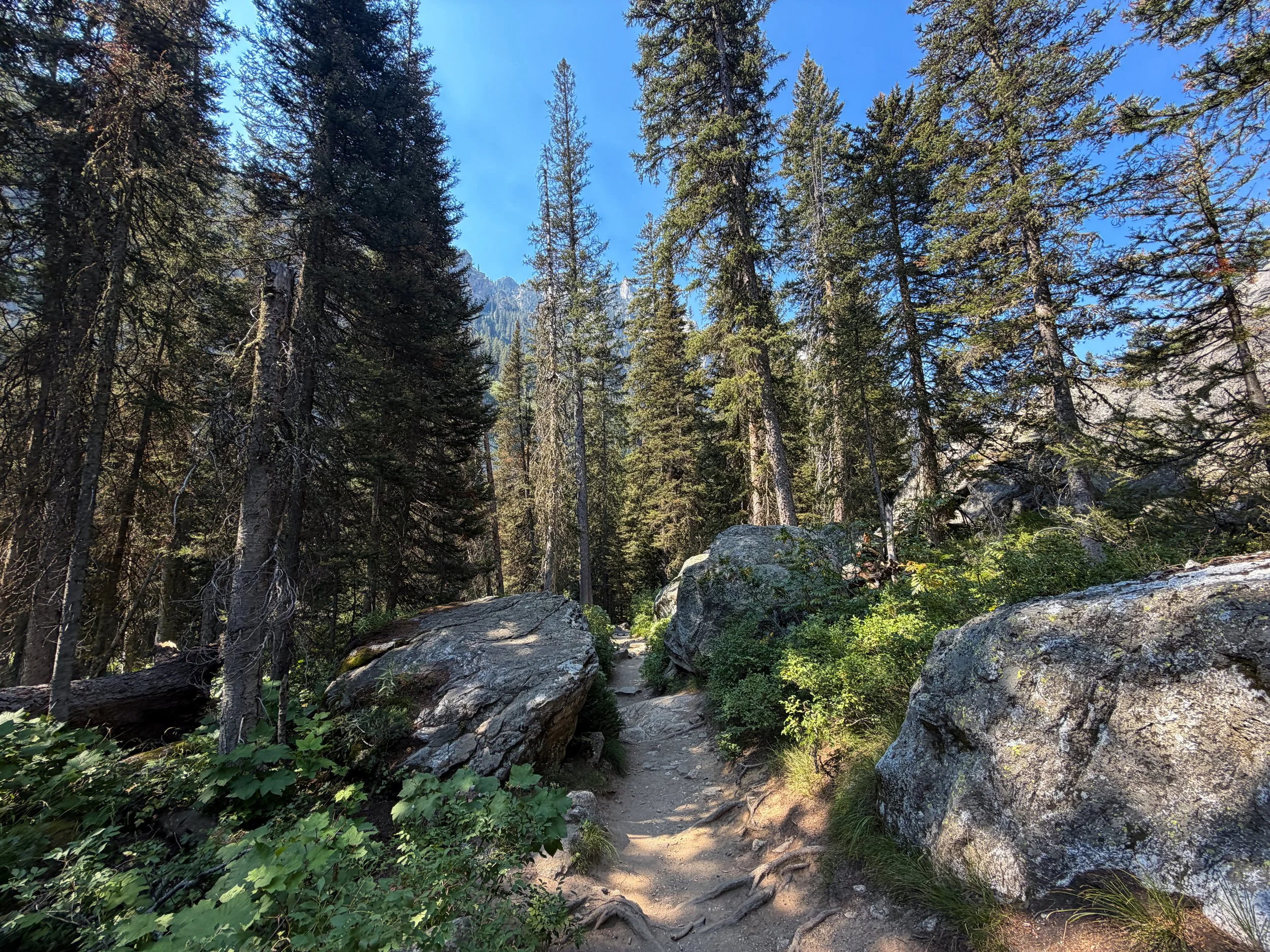 Cascade Canyon Trail Grand Teton National Park Wyoming