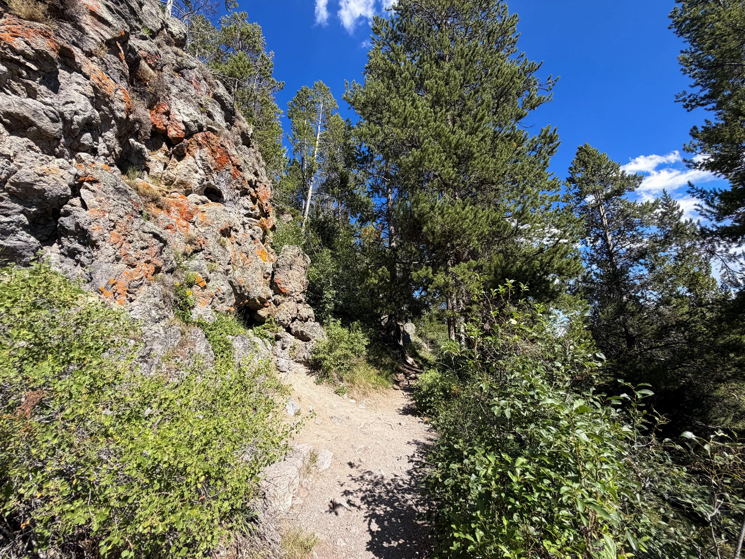 Observation Point Loop Trail Yellowstone National Park Wyoming
