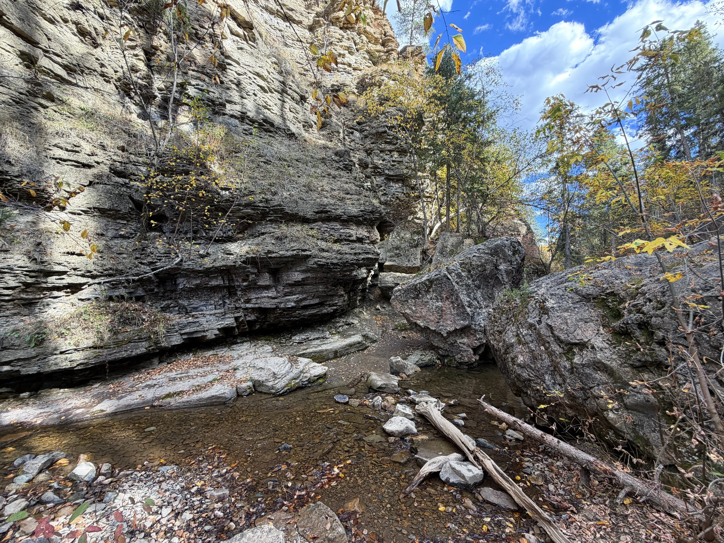 Devils Bathtub Trail Spearfish Canyon Black Hills South Dakota