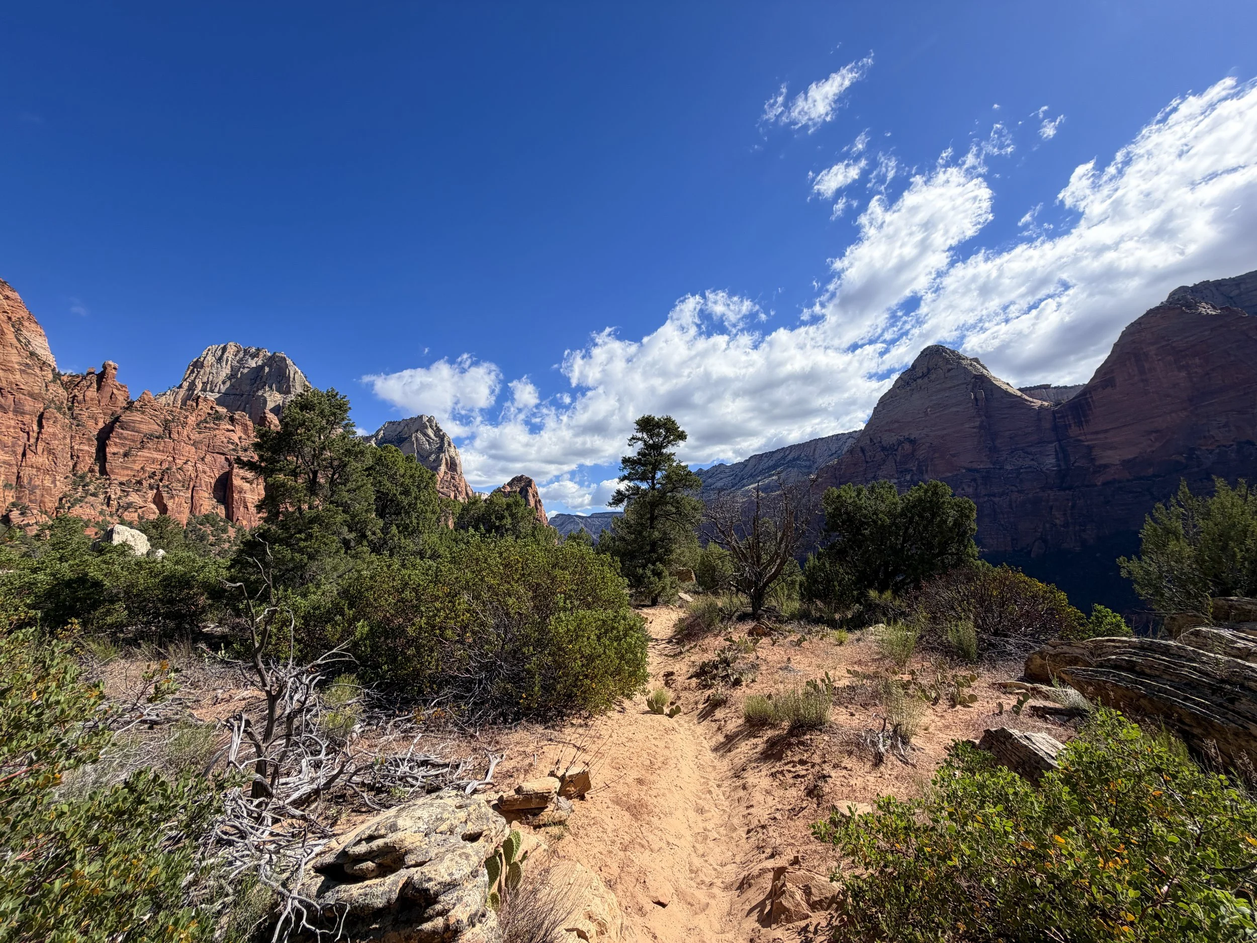 Sand Bench Loop Trail Zion National Park Utah