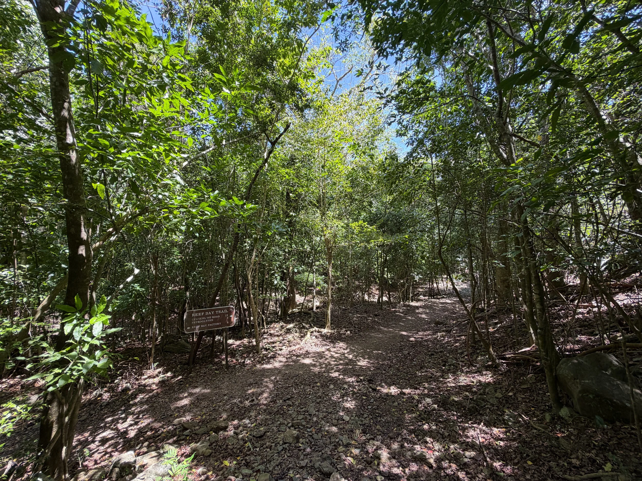 Lameshur Bay Trail to Petroglyphs Trail Virgin Islands National Park