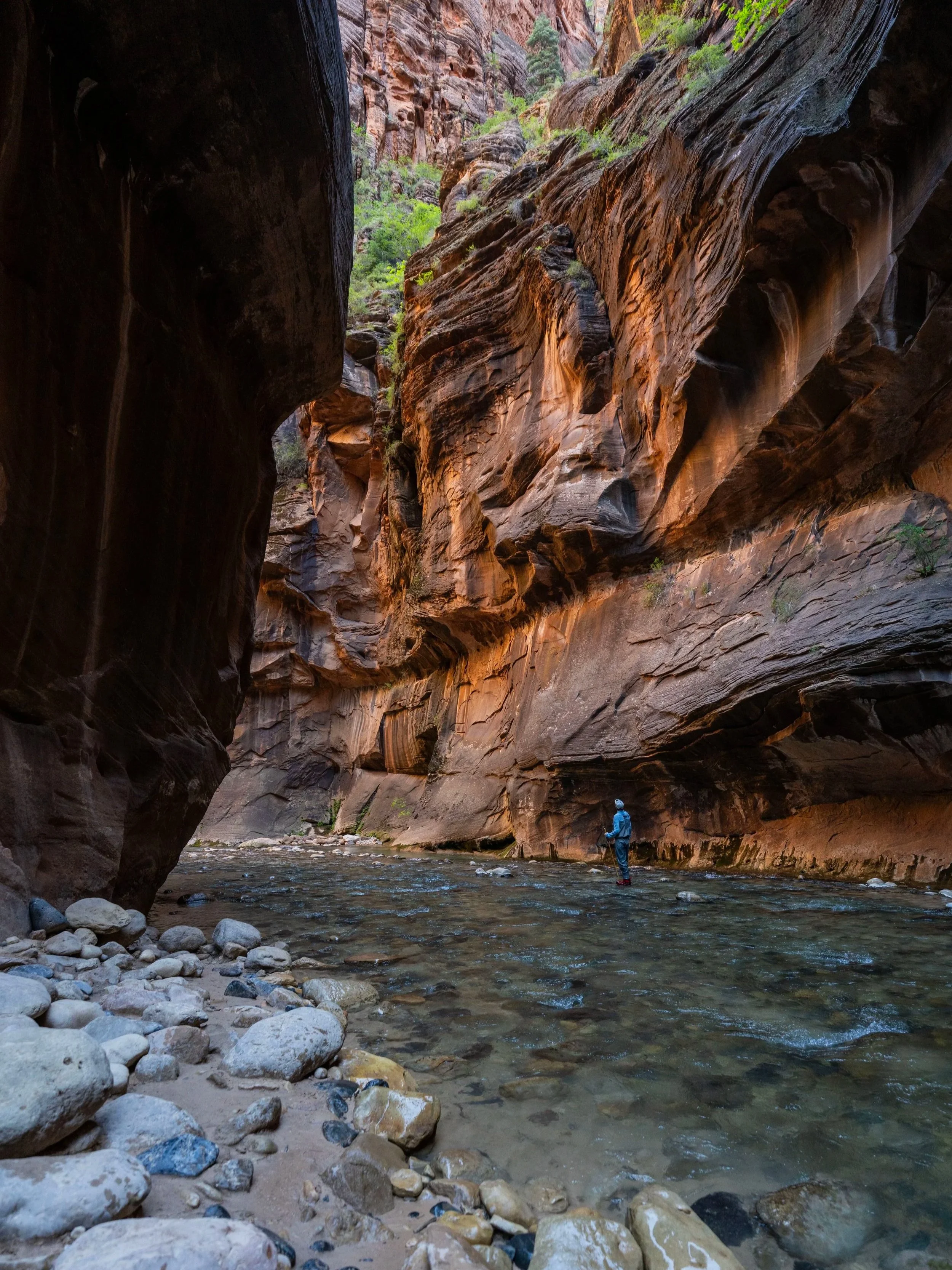 The Narrows Zion National Park Utah