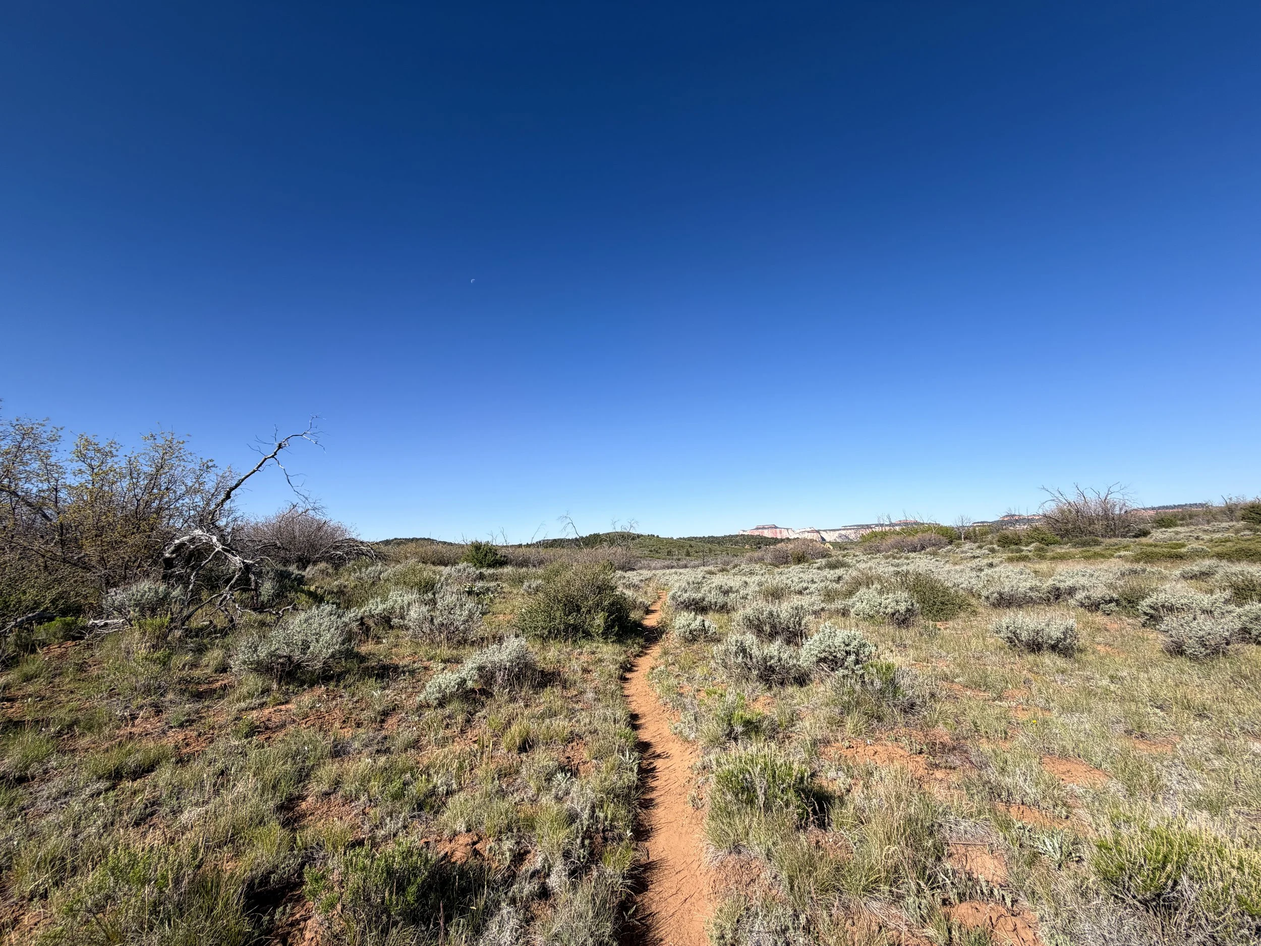 Deertrap Mountain Hike Zion National Park Utah