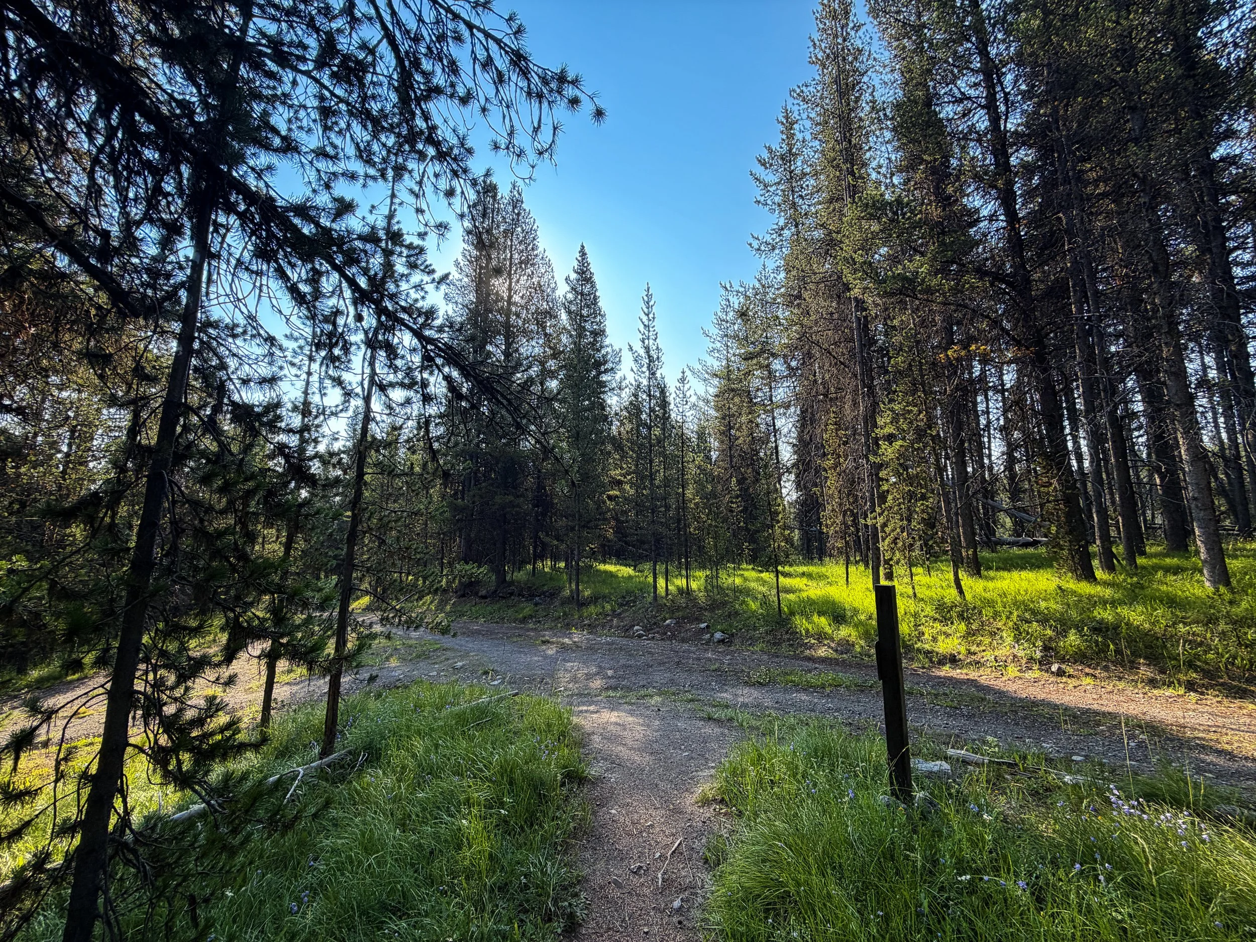Natural Bridge Trail Yellowstone National Park Wyoming