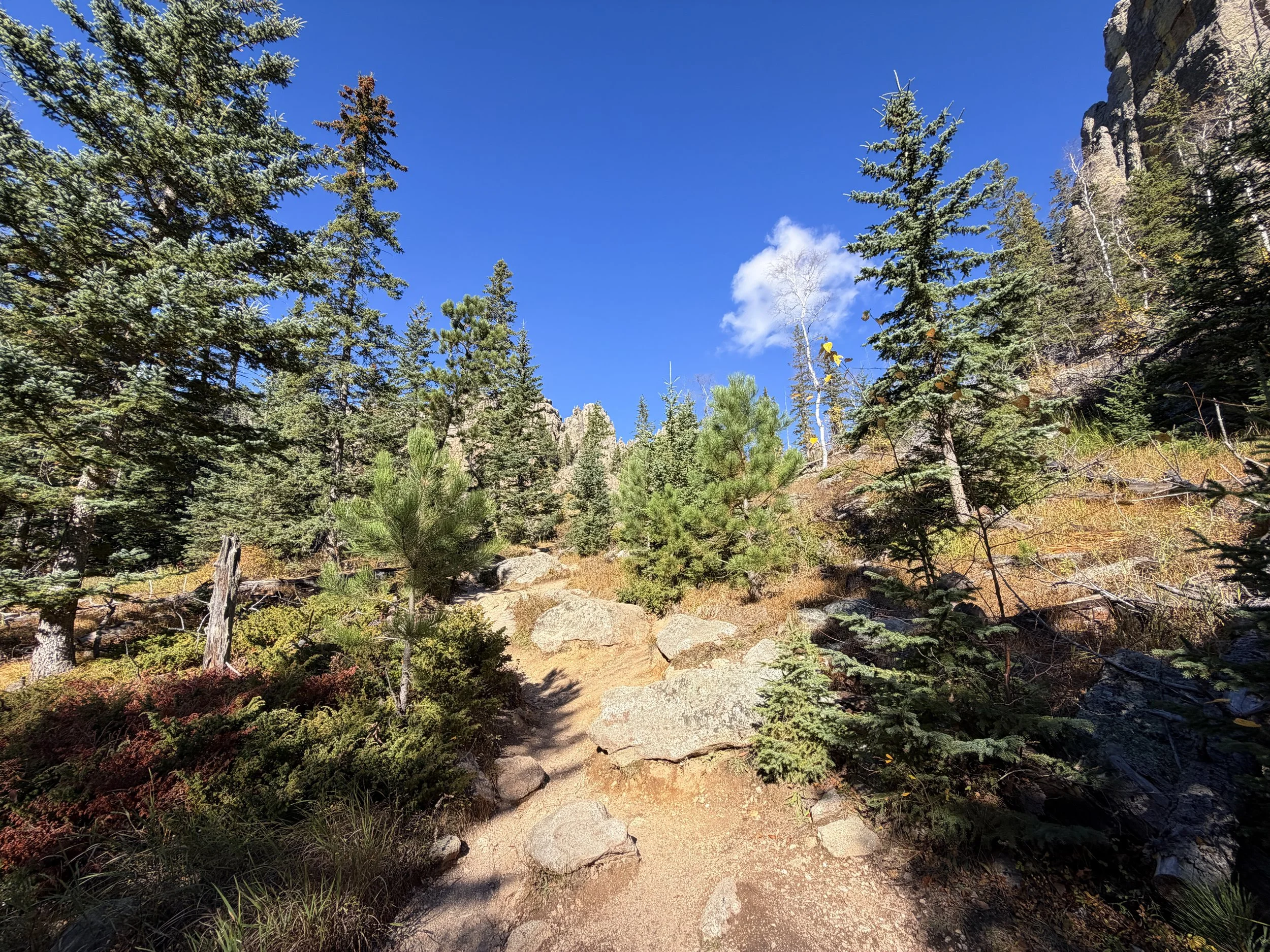 Cathedral Spires Trail Custer State Park Black Hills South Dakota