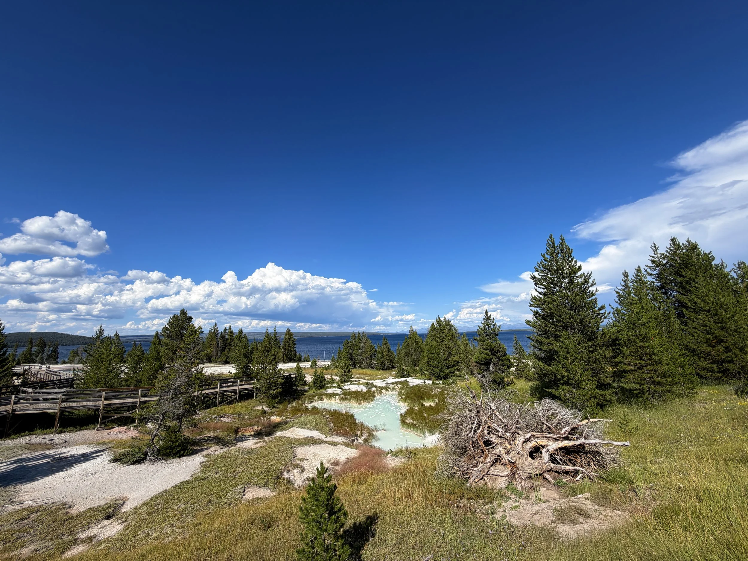Thumb Paint Pots West Thumb Geyser Basin Trail Yellowstone National Park Wyoming